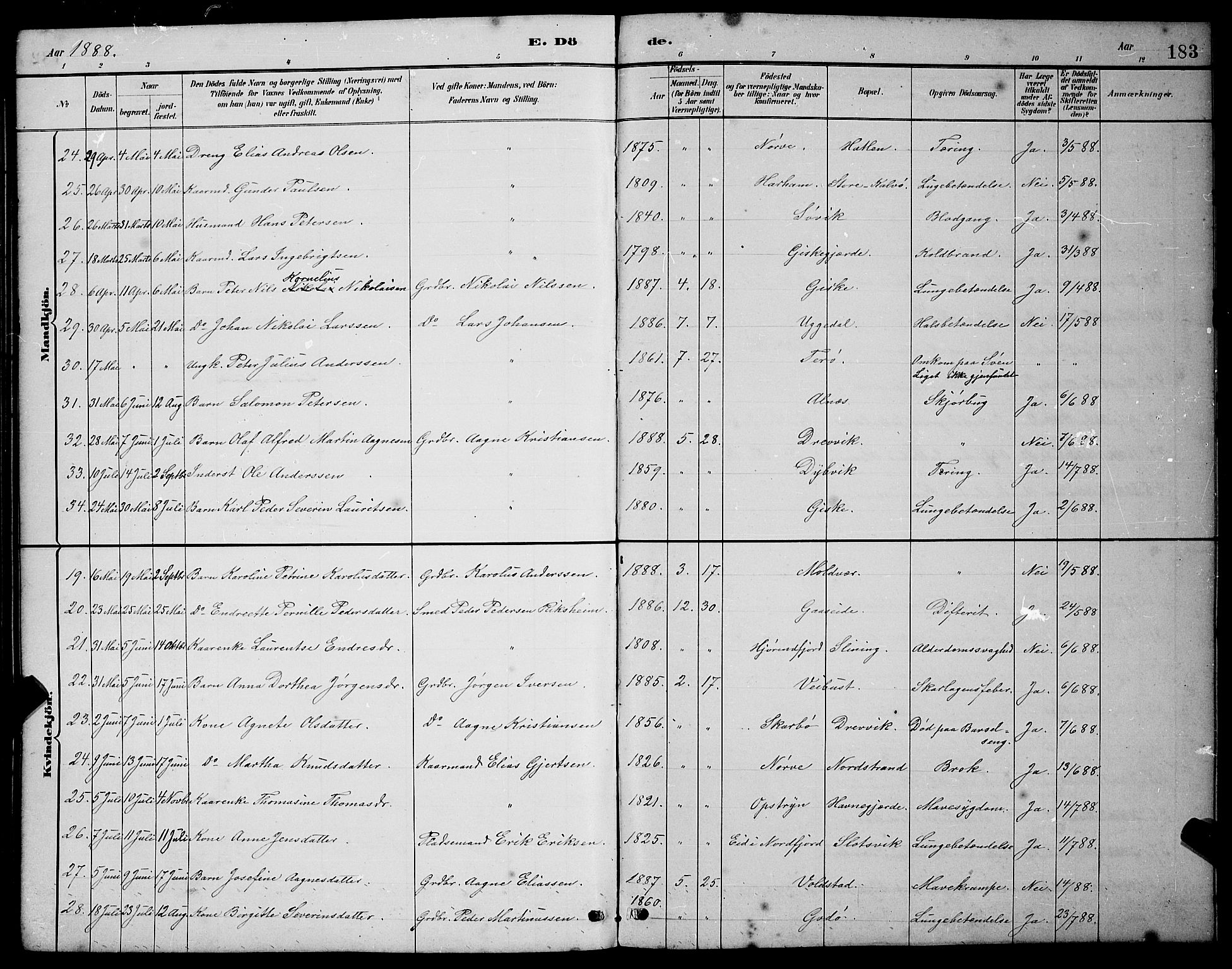 Ministerialprotokoller, klokkerbøker og fødselsregistre - Møre og Romsdal, AV/SAT-A-1454/528/L0430: Parish register (copy) no. 528C11, 1884-1899, p. 183