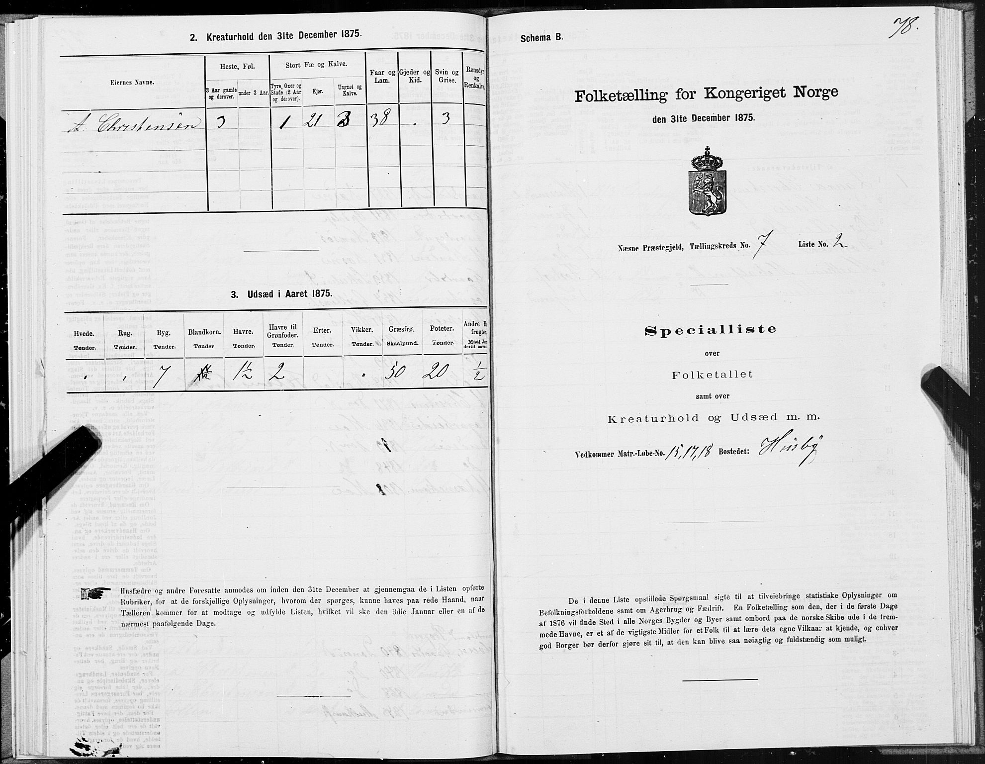 SAT, 1875 census for 1828P Nesna, 1875, p. 6078