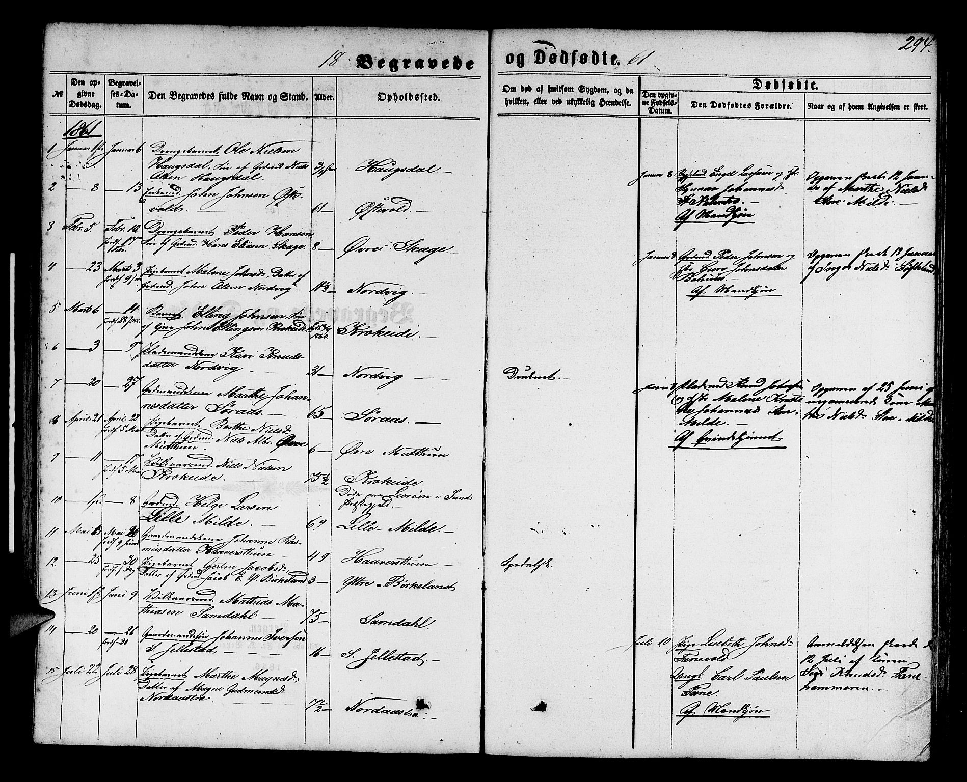 Fana Sokneprestembete, SAB/A-75101/H/Hab/Habb/L0003: Parish register (copy) no. B 3, 1861-1888, p. 294