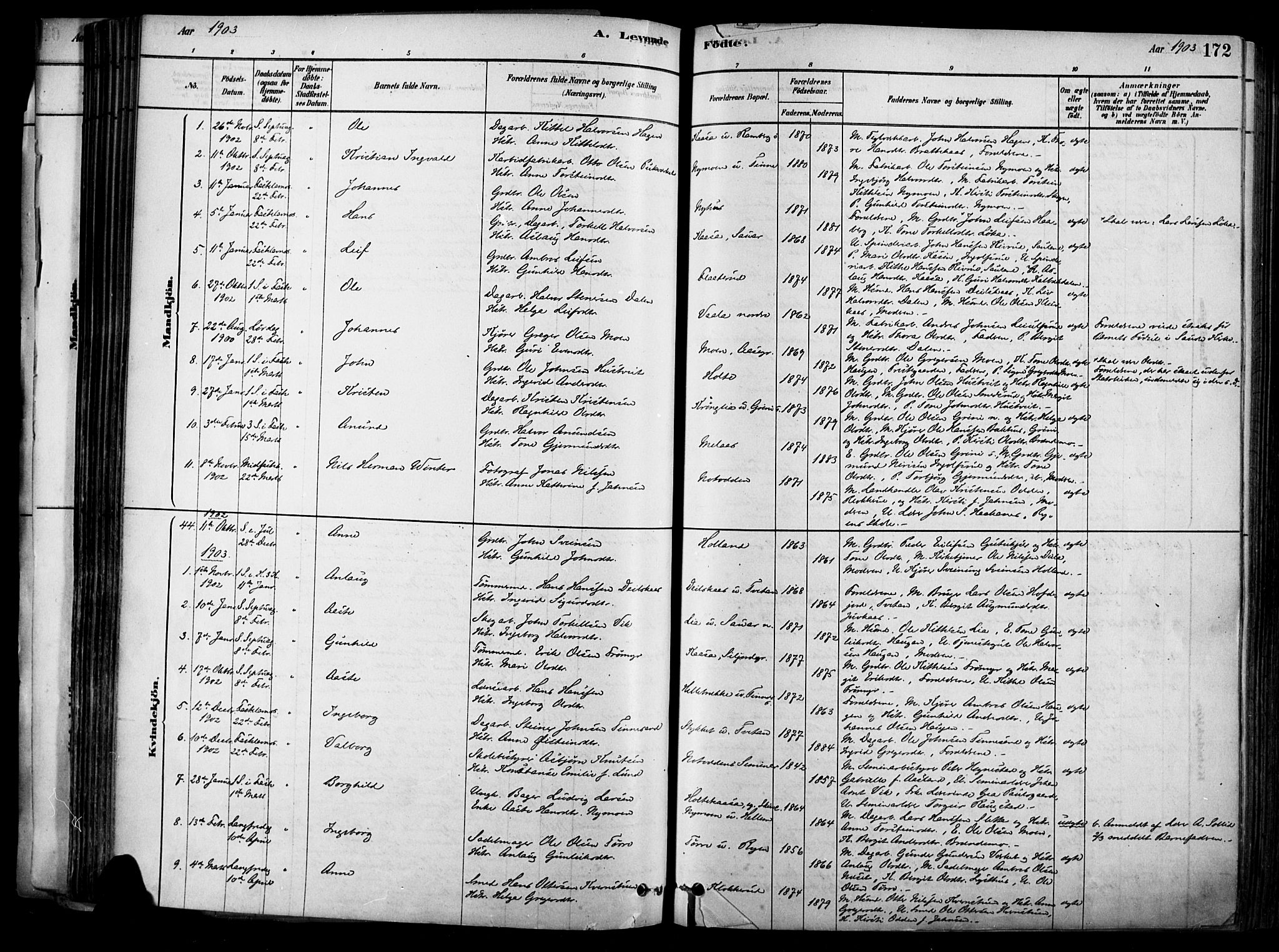 Heddal kirkebøker, SAKO/A-268/F/Fa/L0008: Parish register (official) no. I 8, 1878-1903, p. 172