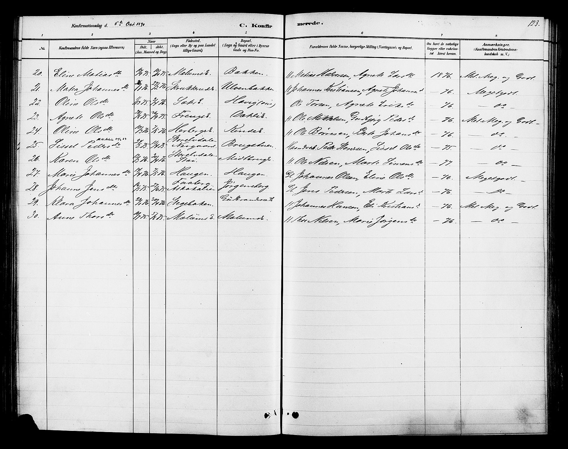 Ringsaker prestekontor, AV/SAH-PREST-014/K/Ka/L0013: Parish register (official) no. 13, 1879-1890, p. 123