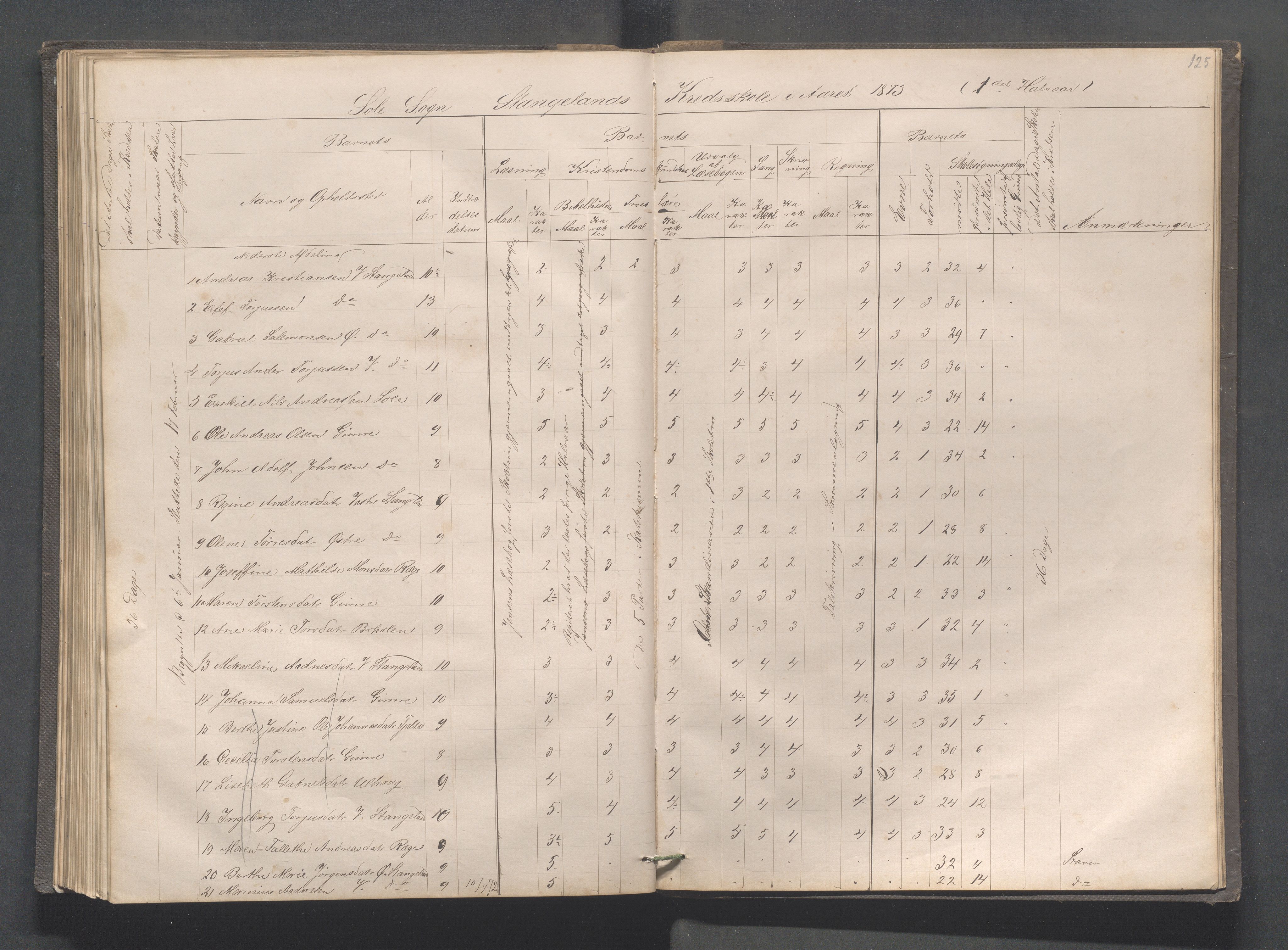 Håland kommune - Røyneberg skole, IKAR/A-1227/H/L0001: Skoleprotokoll - Røyneberg, Stangeland, 1871-1886, p. 125