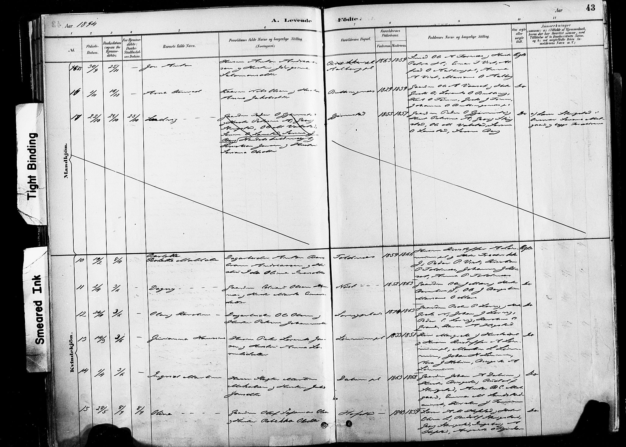 Ministerialprotokoller, klokkerbøker og fødselsregistre - Nord-Trøndelag, AV/SAT-A-1458/735/L0351: Parish register (official) no. 735A10, 1884-1908, p. 43