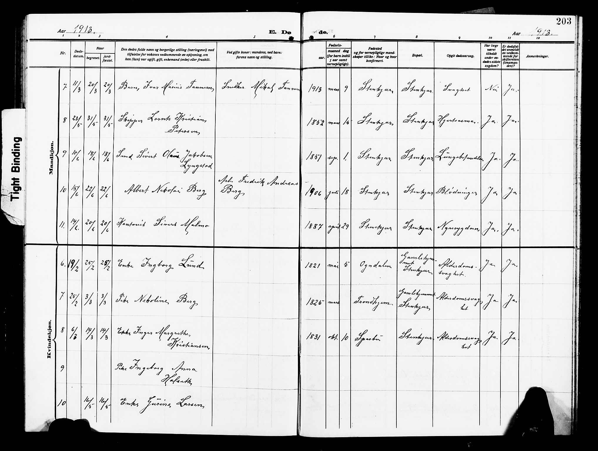Ministerialprotokoller, klokkerbøker og fødselsregistre - Nord-Trøndelag, SAT/A-1458/739/L0376: Parish register (copy) no. 739C04, 1908-1917, p. 203