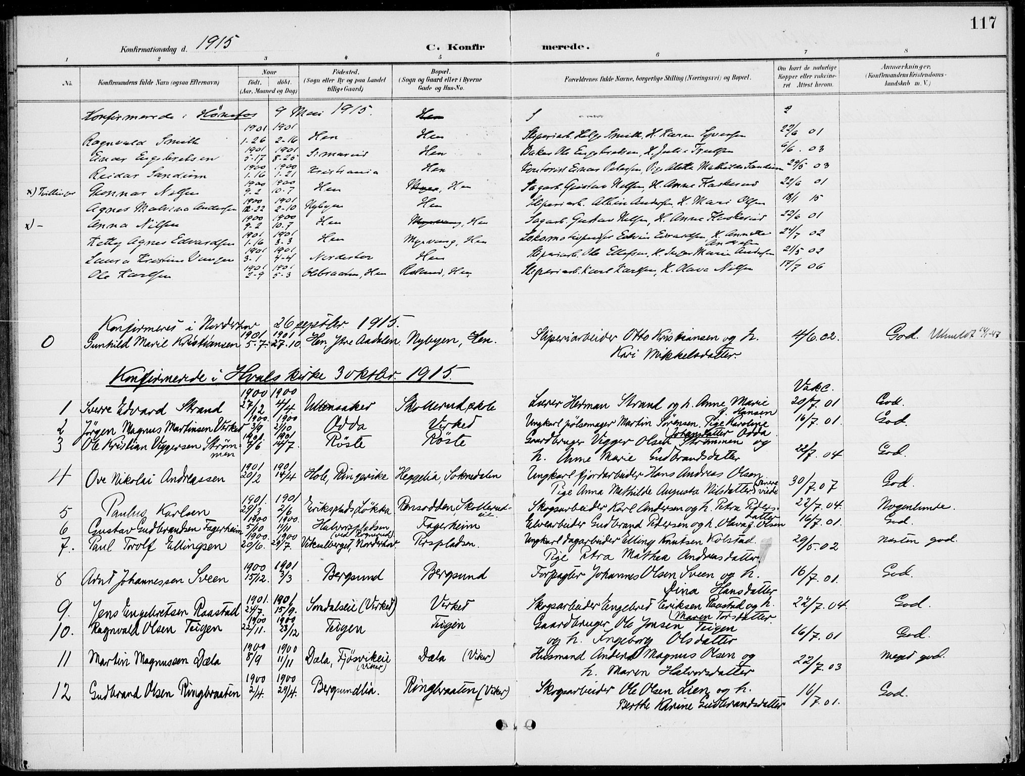 Ådal kirkebøker, AV/SAKO-A-248/F/Fb/L0002: Parish register (official) no. II 2, 1898-1917, p. 117