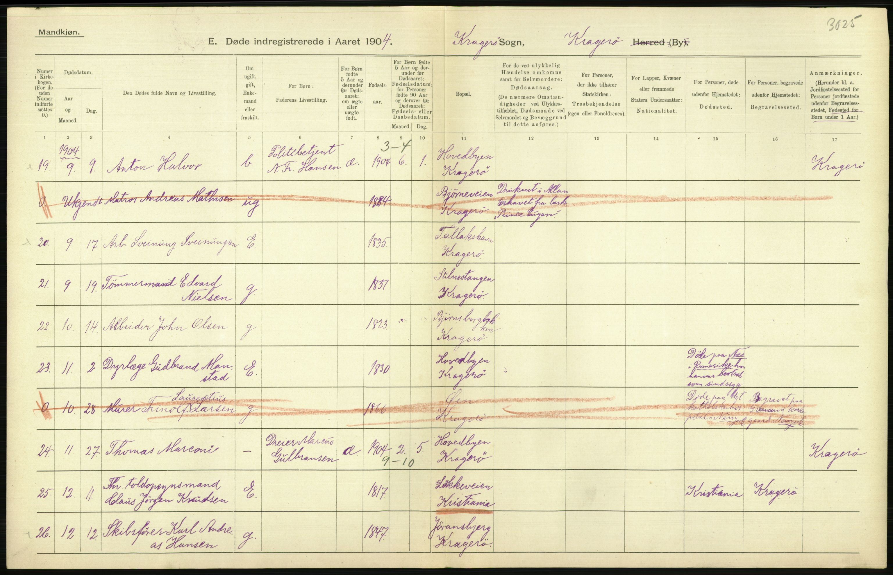 Statistisk sentralbyrå, Sosiodemografiske emner, Befolkning, AV/RA-S-2228/D/Df/Dfa/Dfab/L0009: Bratsberg amt: Fødte, gifte, døde, 1904, p. 754