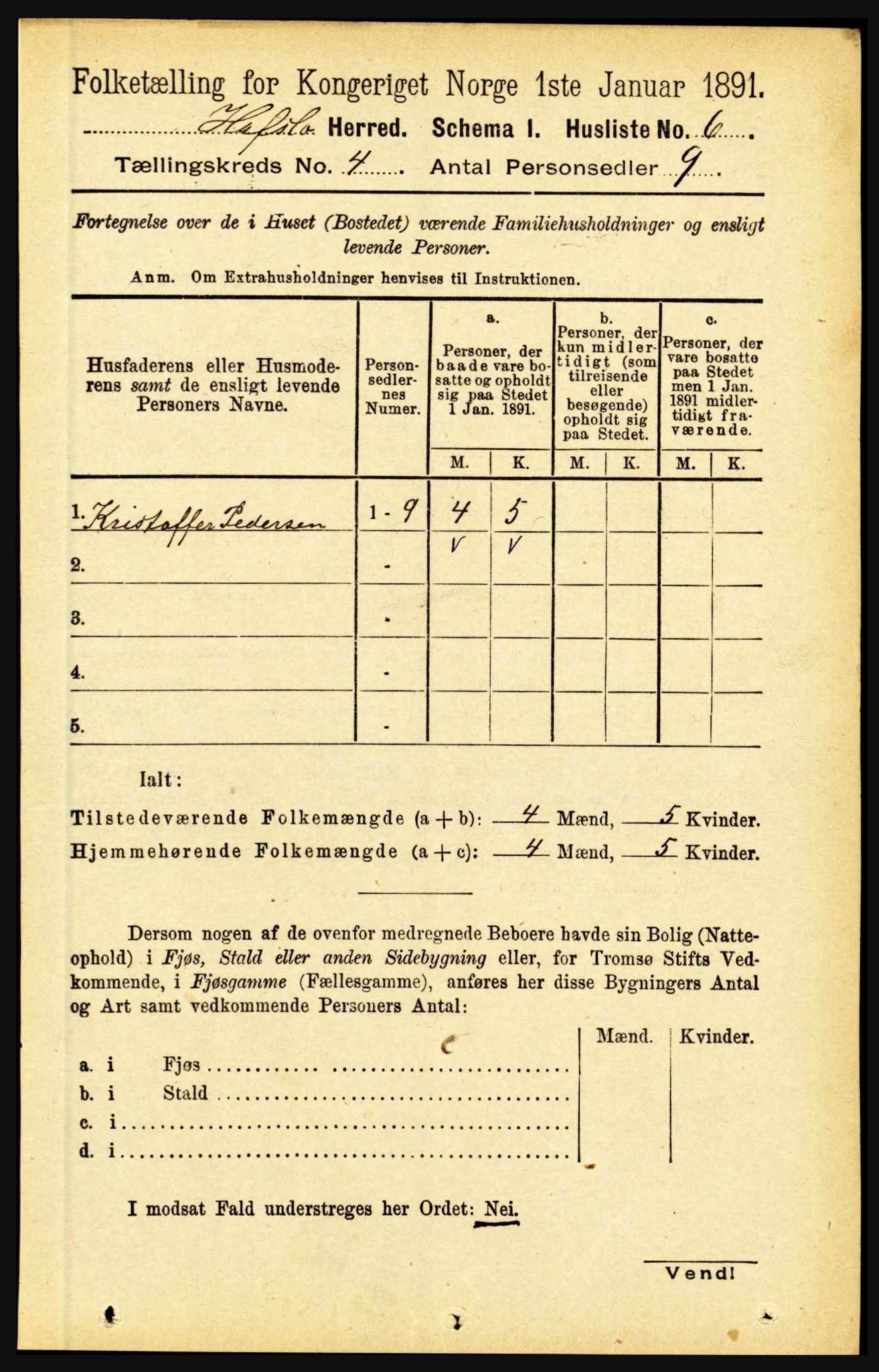 RA, 1891 census for 1425 Hafslo, 1891, p. 1521