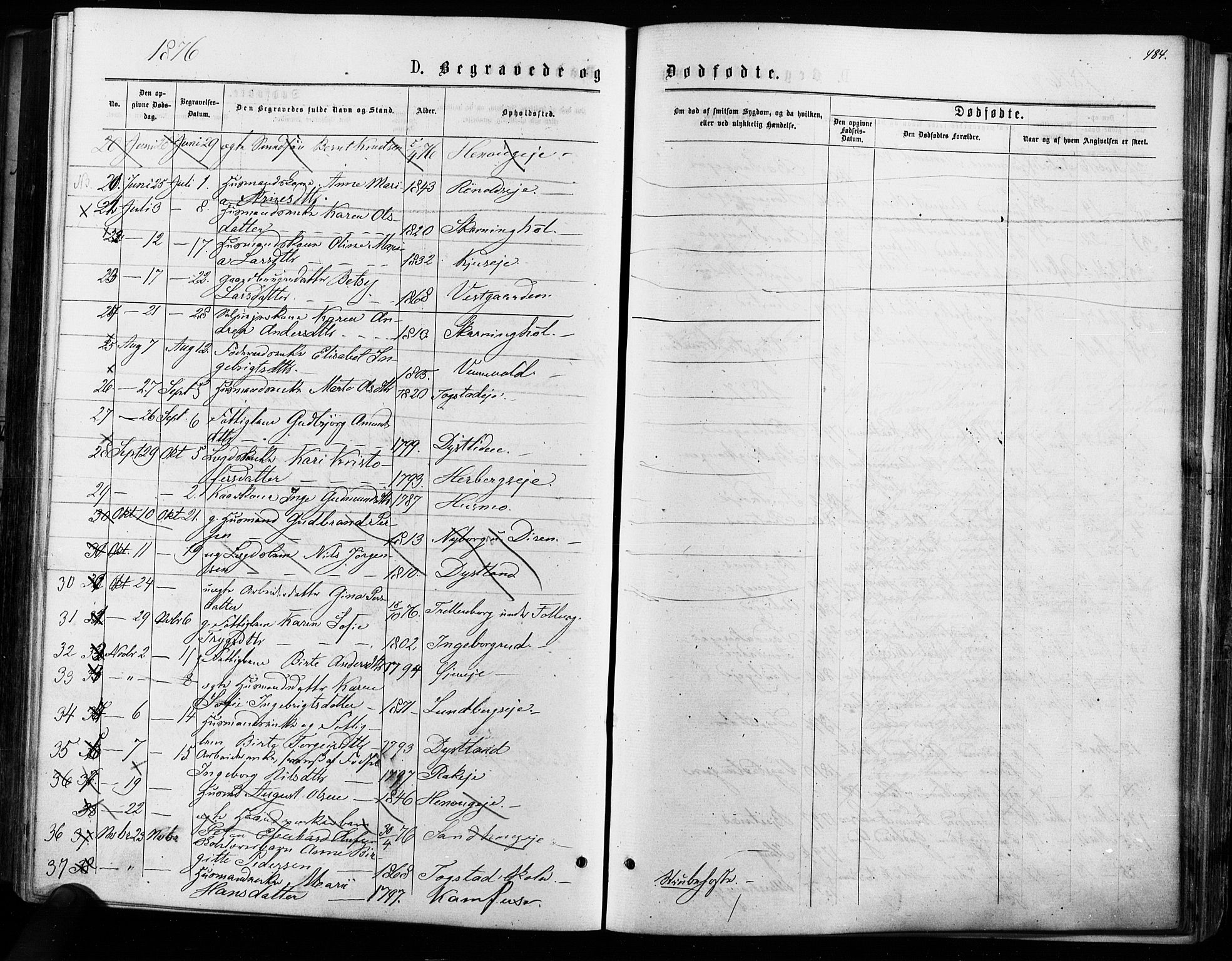 Nes prestekontor Kirkebøker, AV/SAO-A-10410/F/Fa/L0009: Parish register (official) no. I 9, 1875-1882, p. 484