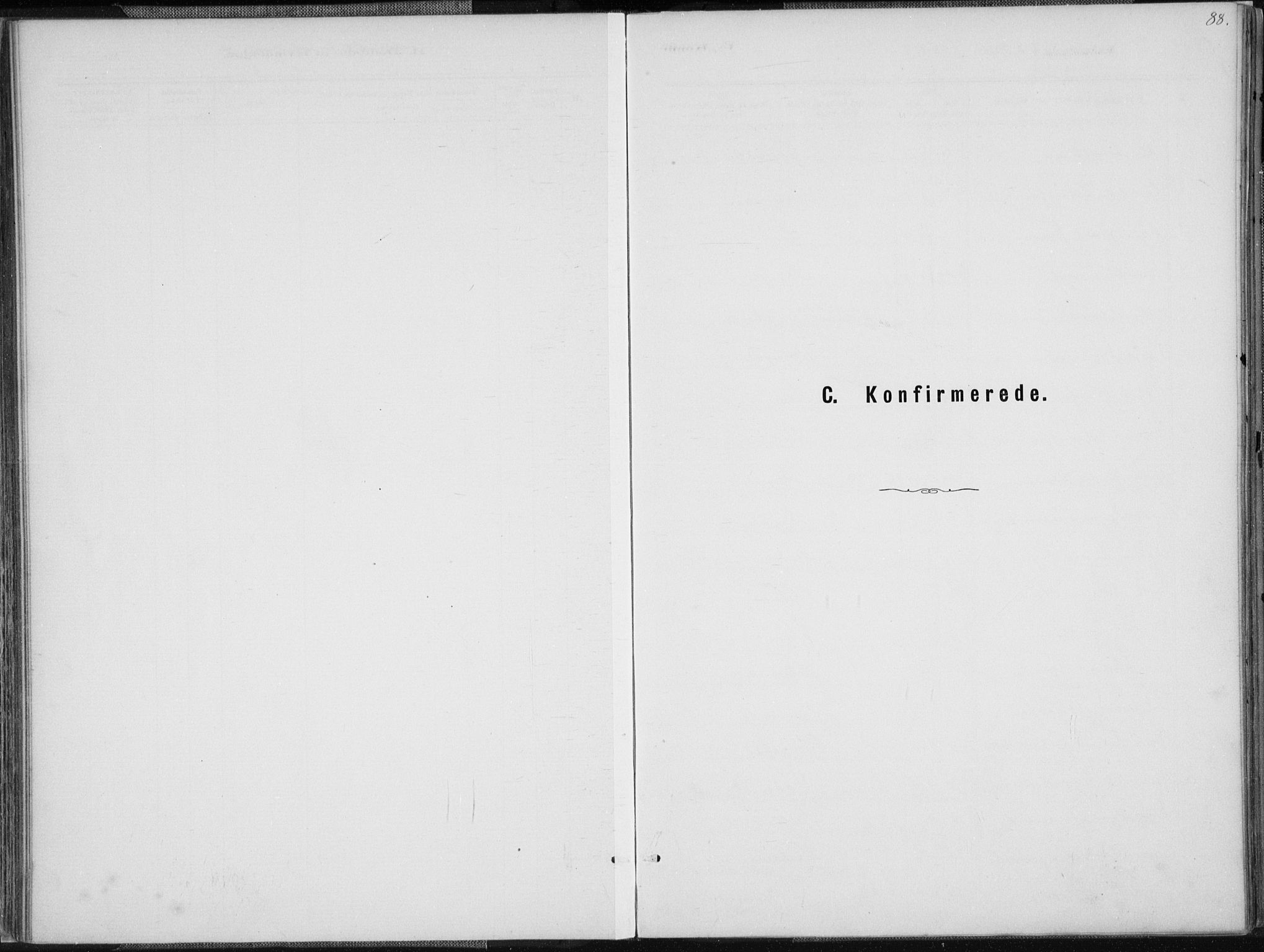 Holum sokneprestkontor, SAK/1111-0022/F/Fa/Faa/L0007: Parish register (official) no. A 7, 1884-1907, p. 88