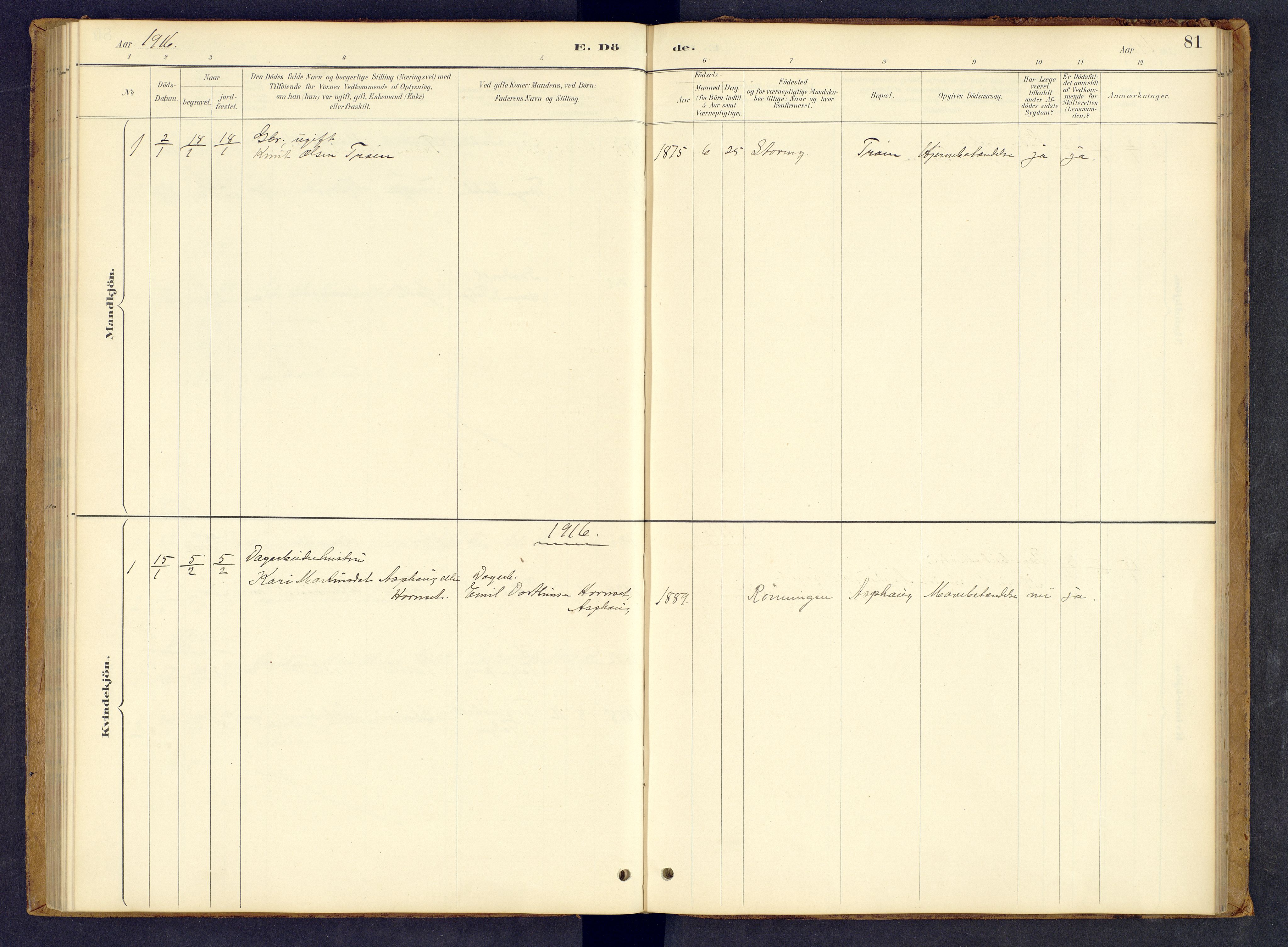 Tynset prestekontor, AV/SAH-PREST-058/H/Ha/Hab/L0008: Parish register (copy) no. 8, 1884-1916, p. 81