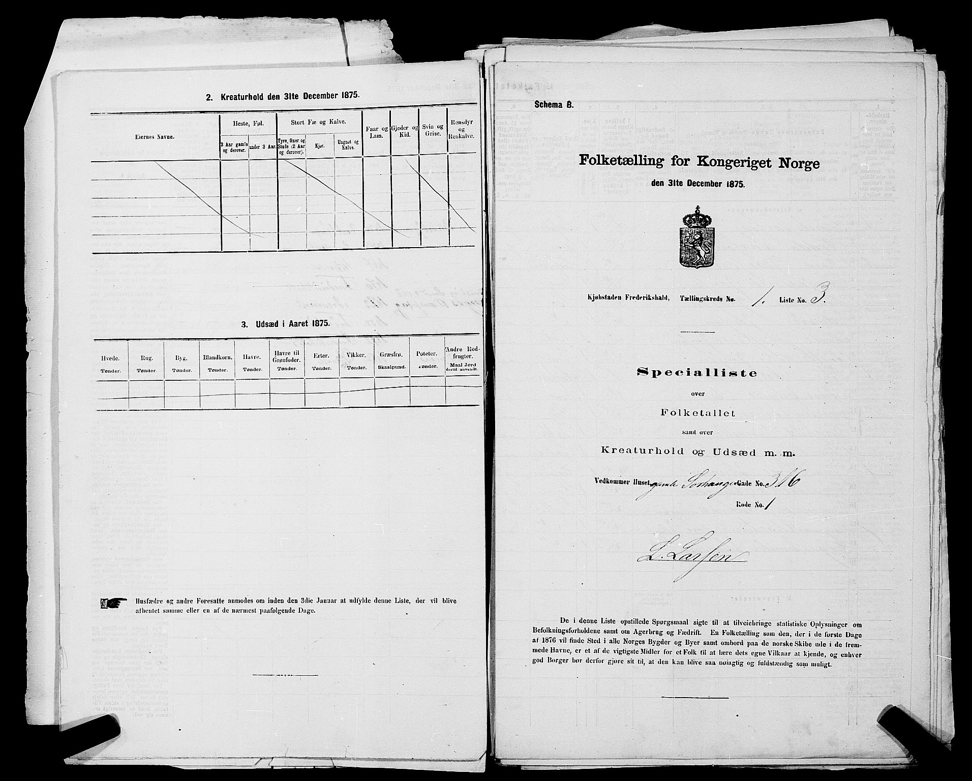 RA, 1875 census for 0101P Fredrikshald, 1875, p. 16