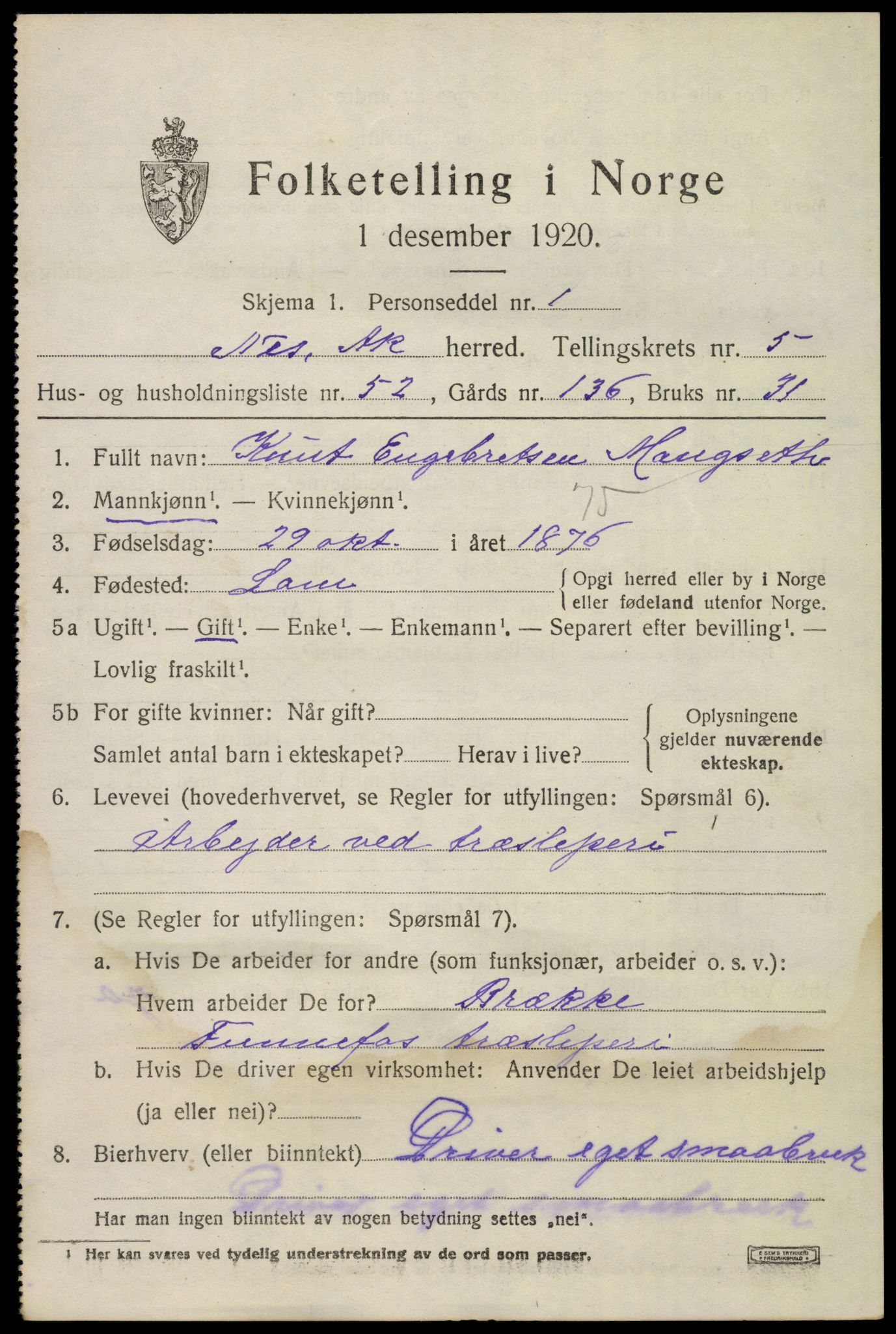 SAO, 1920 census for Nes, 1920, p. 7110