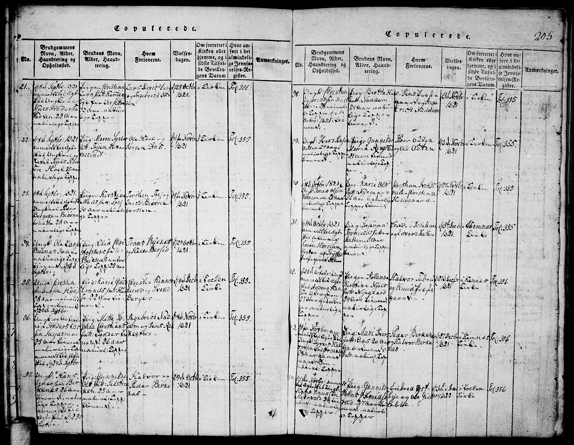 Høland prestekontor Kirkebøker, SAO/A-10346a/F/Fa/L0007: Parish register (official) no. I 7, 1814-1827, p. 205