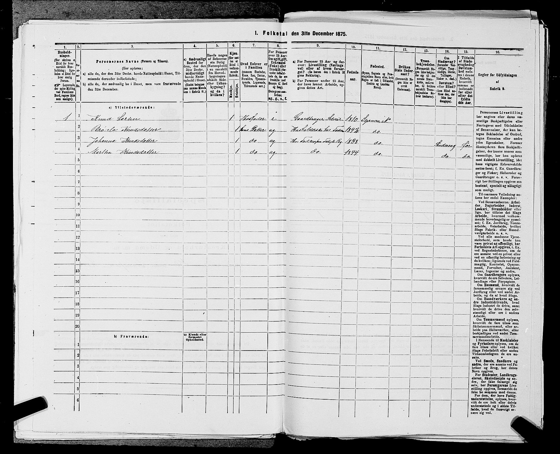 SAST, 1875 census for 1139P Nedstrand, 1875, p. 894
