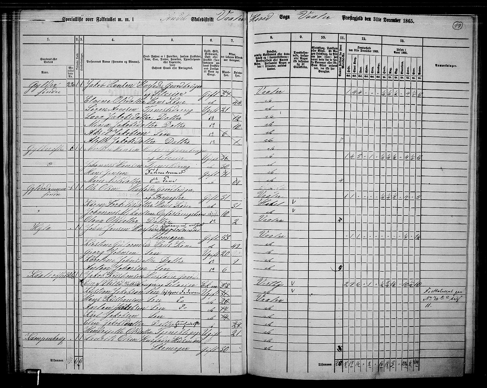 RA, 1865 census for Våler, 1865, p. 46