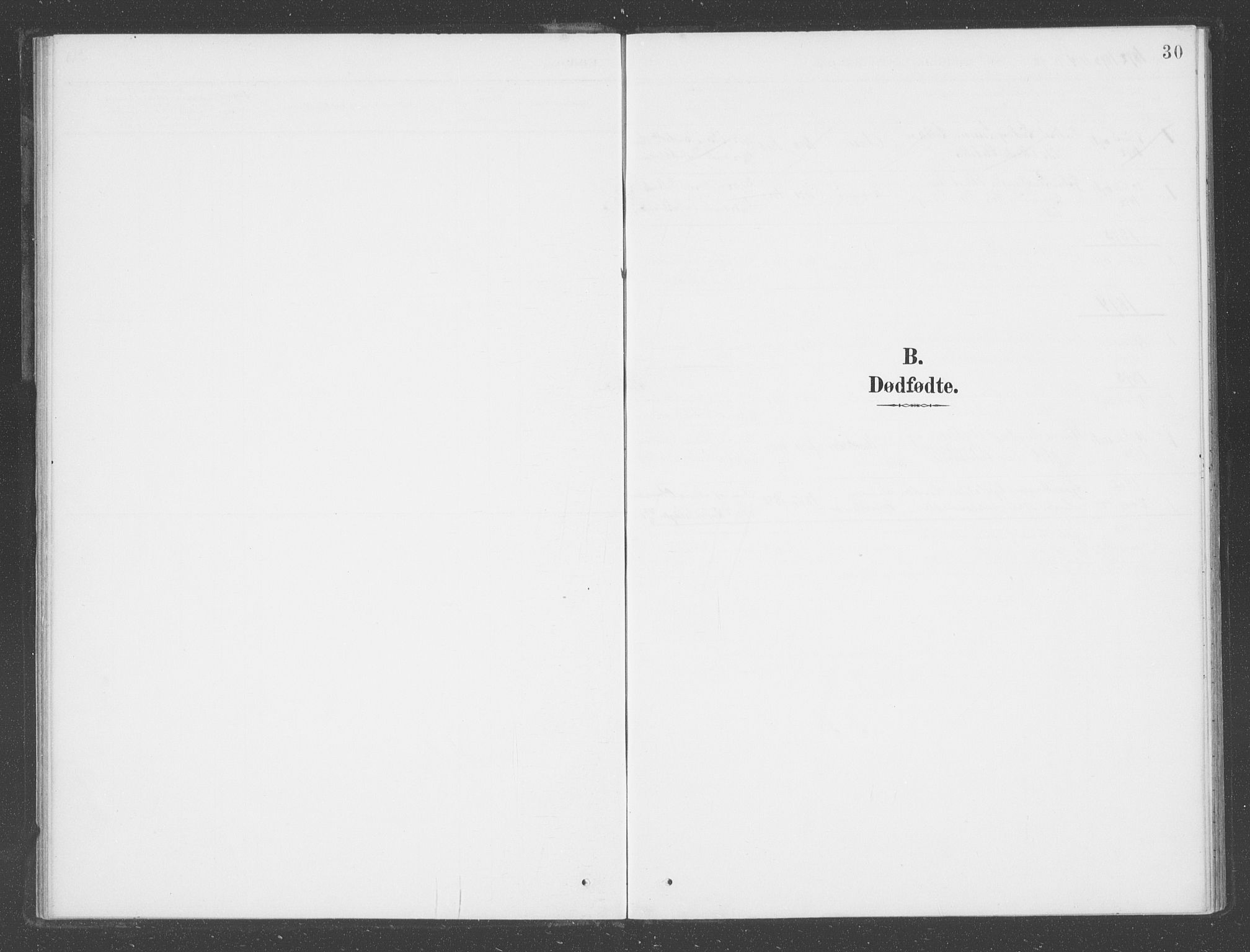 Balestrand sokneprestembete, SAB/A-79601: Parish register (official) no. D  2, 1891-1907, p. 30