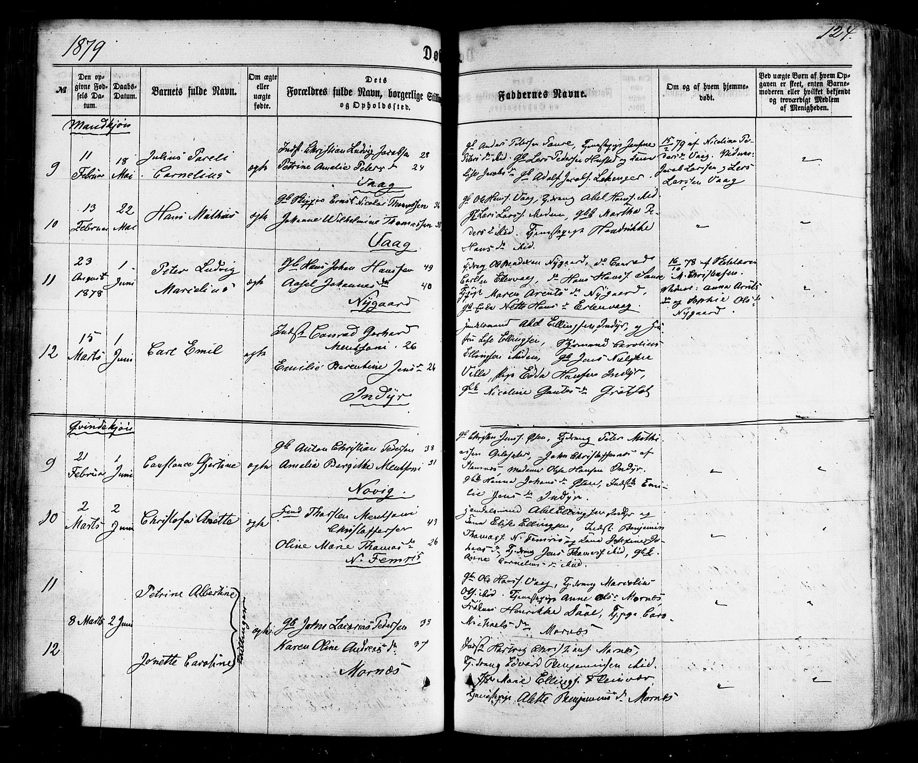 Ministerialprotokoller, klokkerbøker og fødselsregistre - Nordland, AV/SAT-A-1459/805/L0098: Parish register (official) no. 805A05, 1862-1879, p. 124