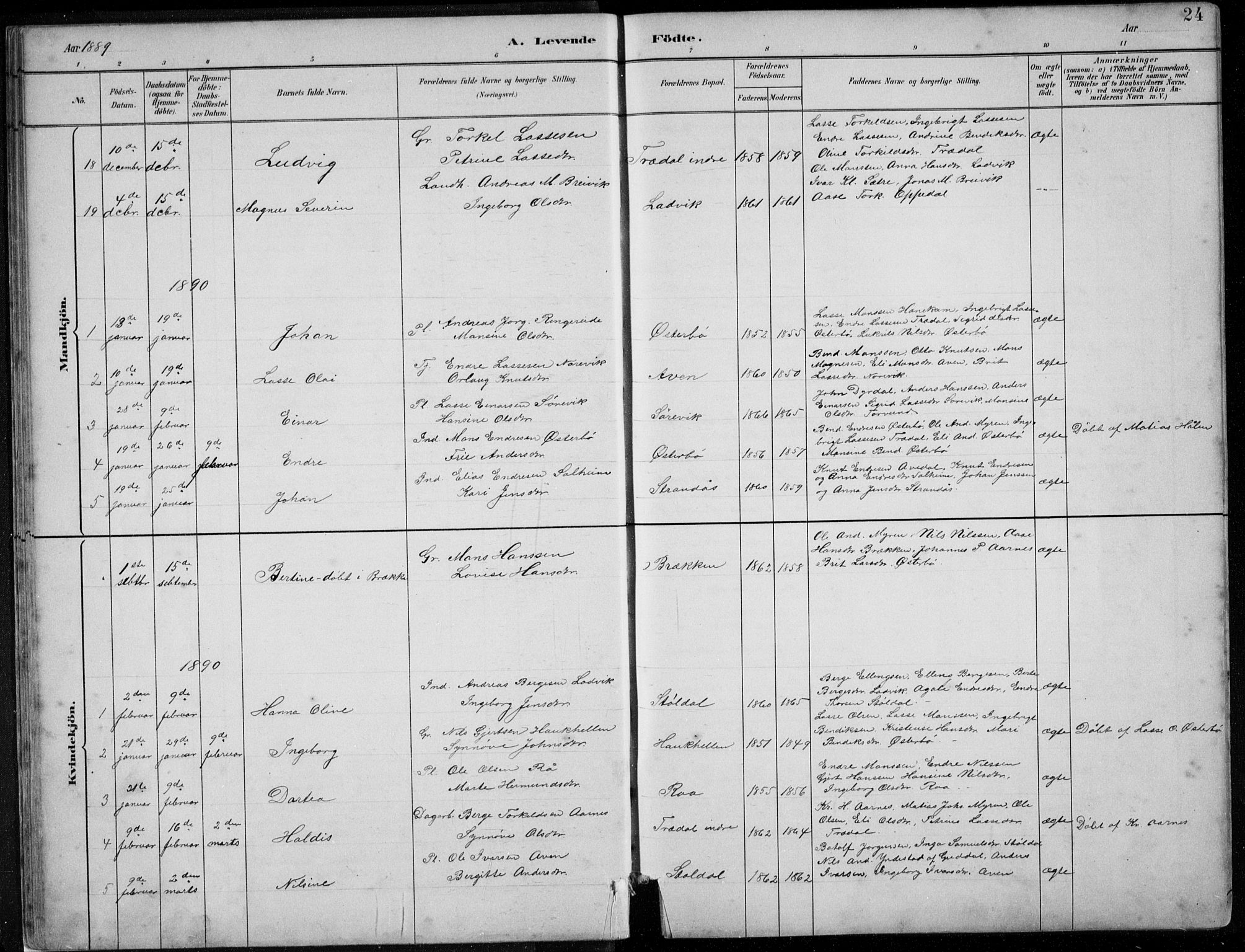 Lavik sokneprestembete, SAB/A-80901: Parish register (copy) no. A 2, 1882-1910, p. 24