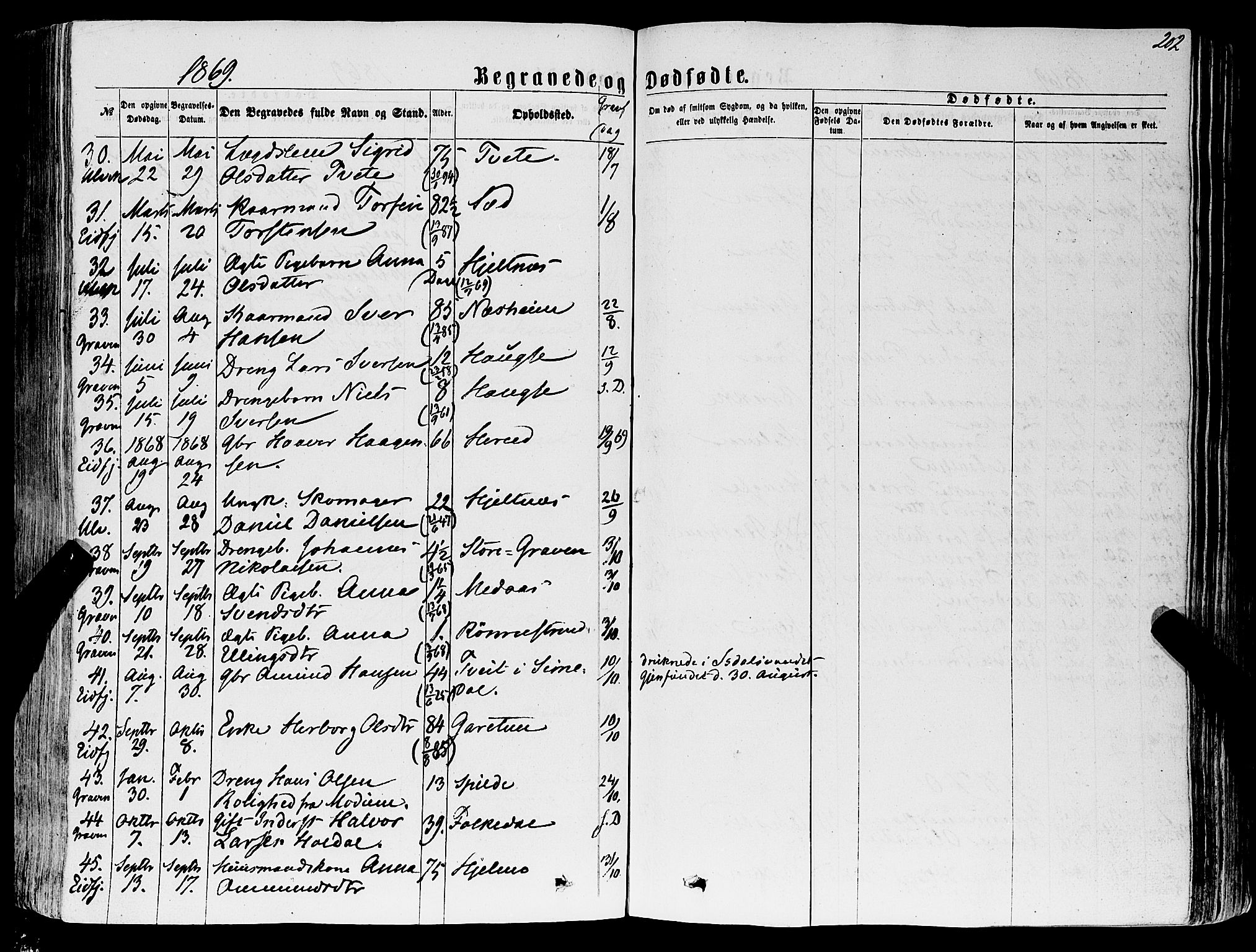 Ulvik sokneprestembete, AV/SAB-A-78801/H/Haa: Parish register (official) no. A 15, 1864-1878, p. 202