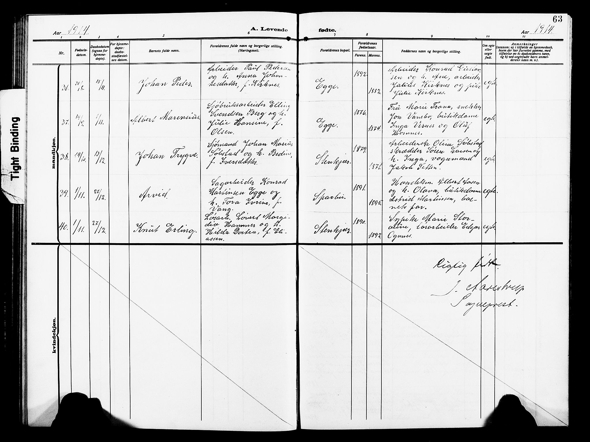 Ministerialprotokoller, klokkerbøker og fødselsregistre - Nord-Trøndelag, AV/SAT-A-1458/739/L0376: Parish register (copy) no. 739C04, 1908-1917, p. 63