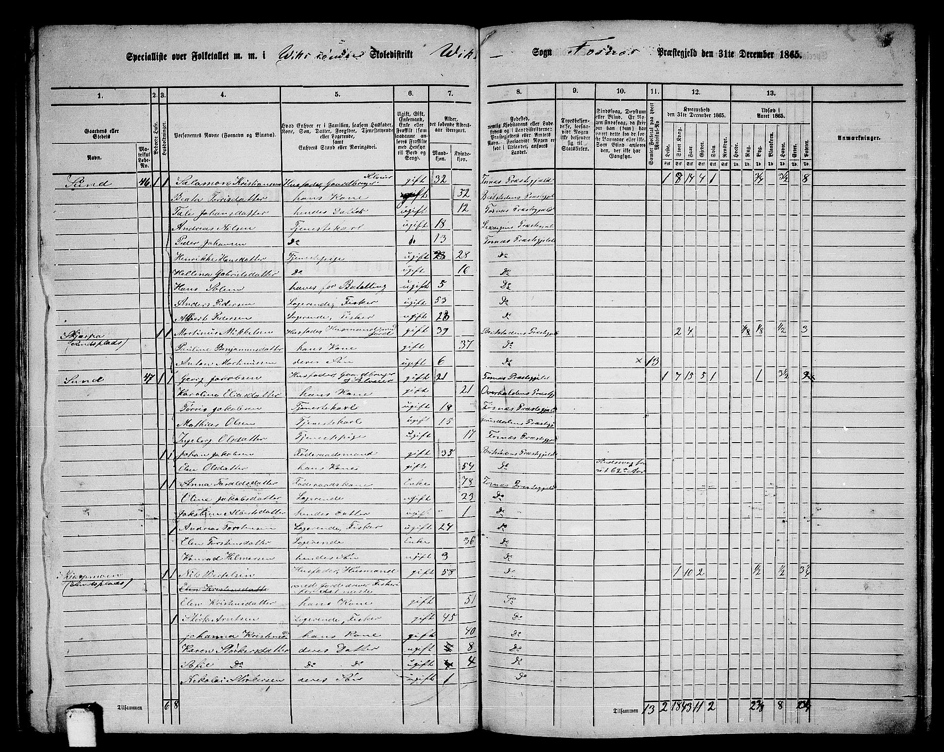 RA, 1865 census for Fosnes, 1865, p. 41