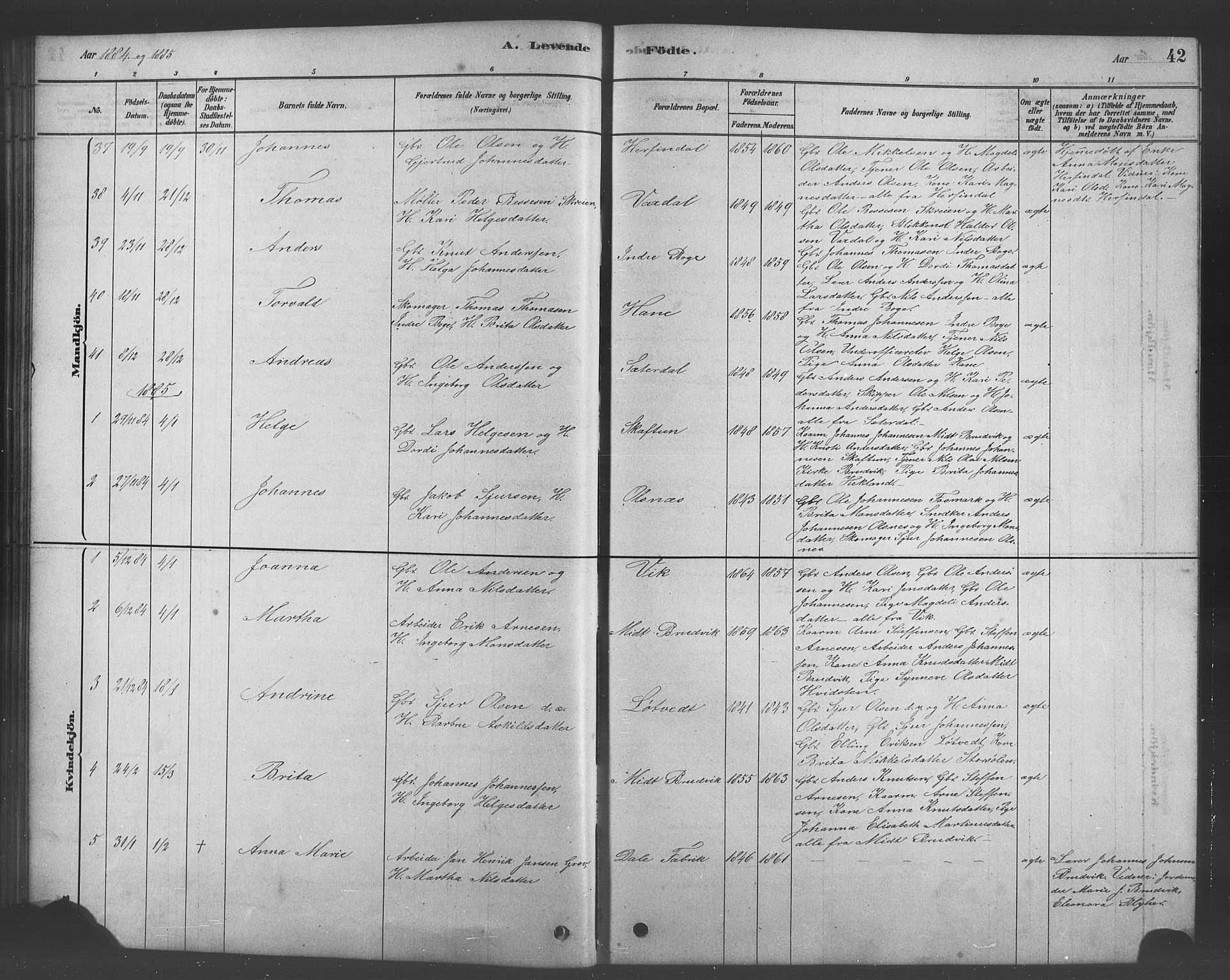 Bruvik Sokneprestembete, SAB/A-74701/H/Hab: Parish register (copy) no. A 1, 1878-1907, p. 42