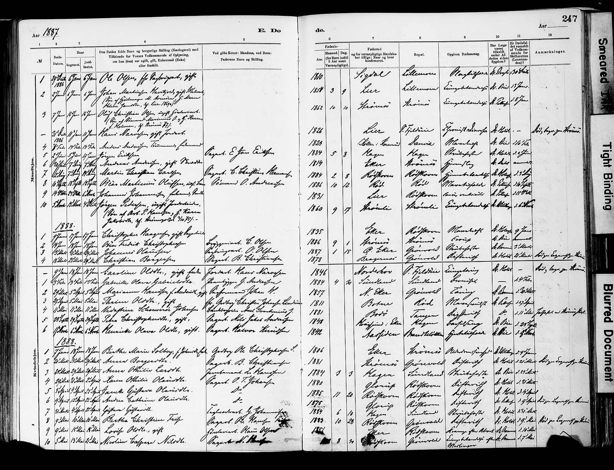 Strømsgodset kirkebøker, AV/SAKO-A-324/F/Fa/L0001: Parish register (official) no. 1, 1885-1909, p. 247