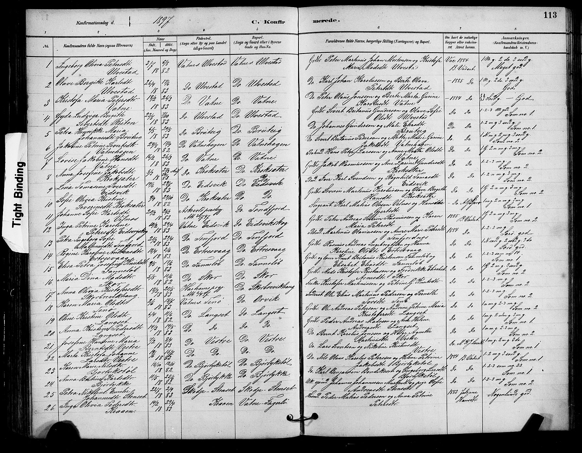 Ministerialprotokoller, klokkerbøker og fødselsregistre - Møre og Romsdal, AV/SAT-A-1454/525/L0376: Parish register (copy) no. 525C02, 1880-1902, p. 113