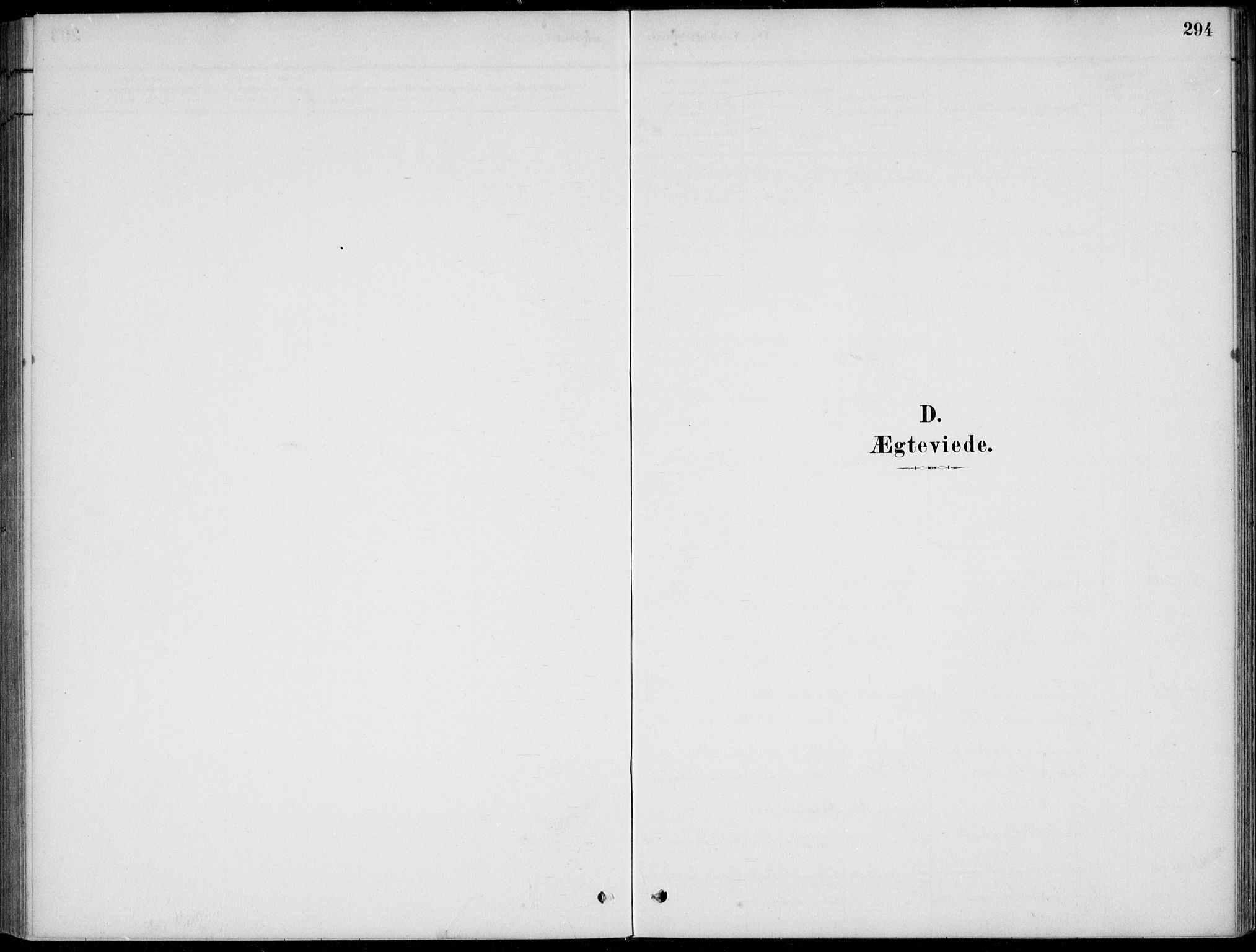 Flekkefjord sokneprestkontor, SAK/1111-0012/F/Fb/Fbc/L0007: Parish register (copy) no. B 7, 1880-1902, p. 294