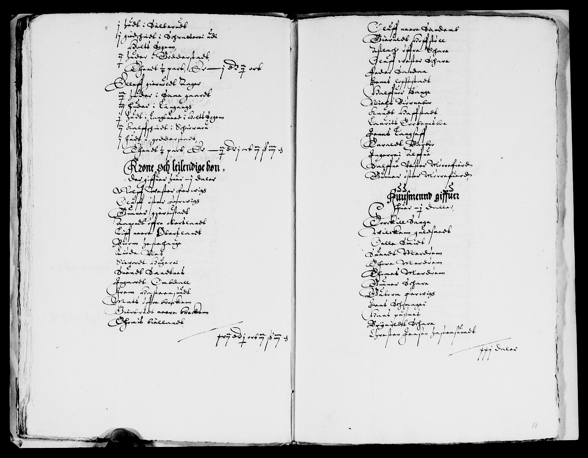 Rentekammeret inntil 1814, Reviderte regnskaper, Lensregnskaper, AV/RA-EA-5023/R/Rb/Rbq/L0011: Nedenes len. Mandals len. Råbyggelag., 1618-1620