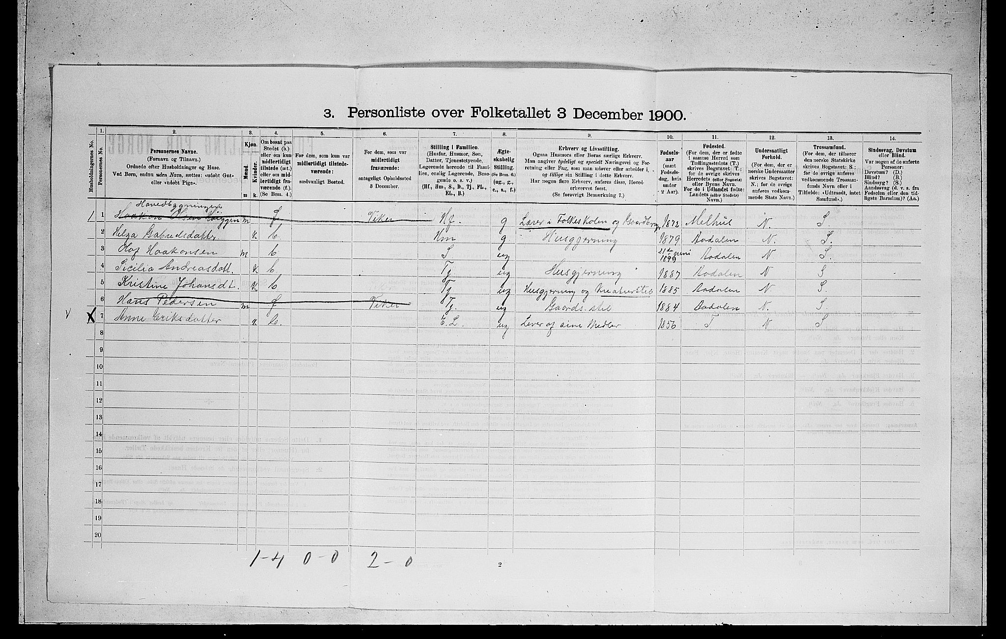 RA, 1900 census for Ådal, 1900, p. 491