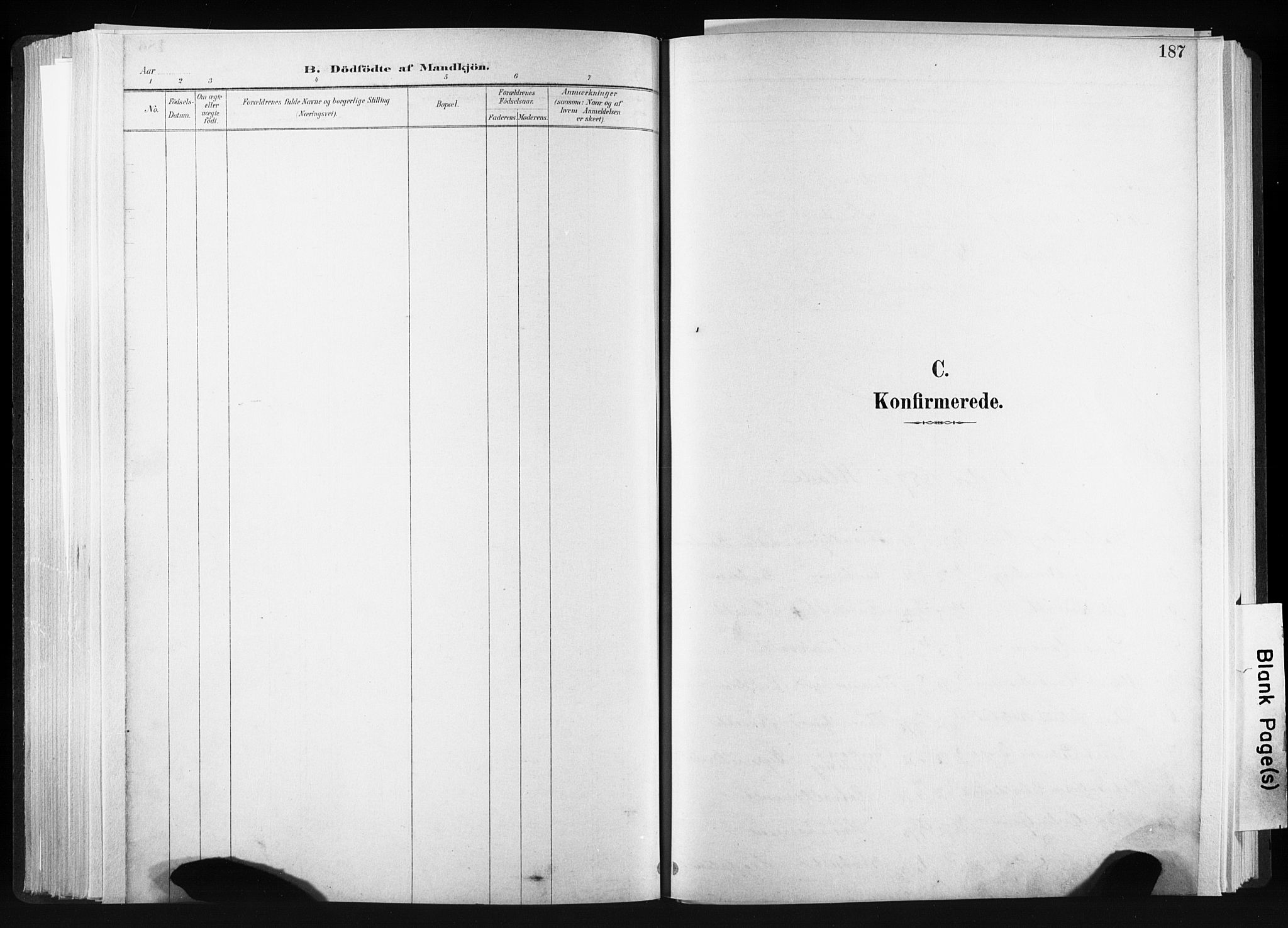 Ministerialprotokoller, klokkerbøker og fødselsregistre - Sør-Trøndelag, SAT/A-1456/606/L0300: Parish register (official) no. 606A15, 1886-1893, p. 187