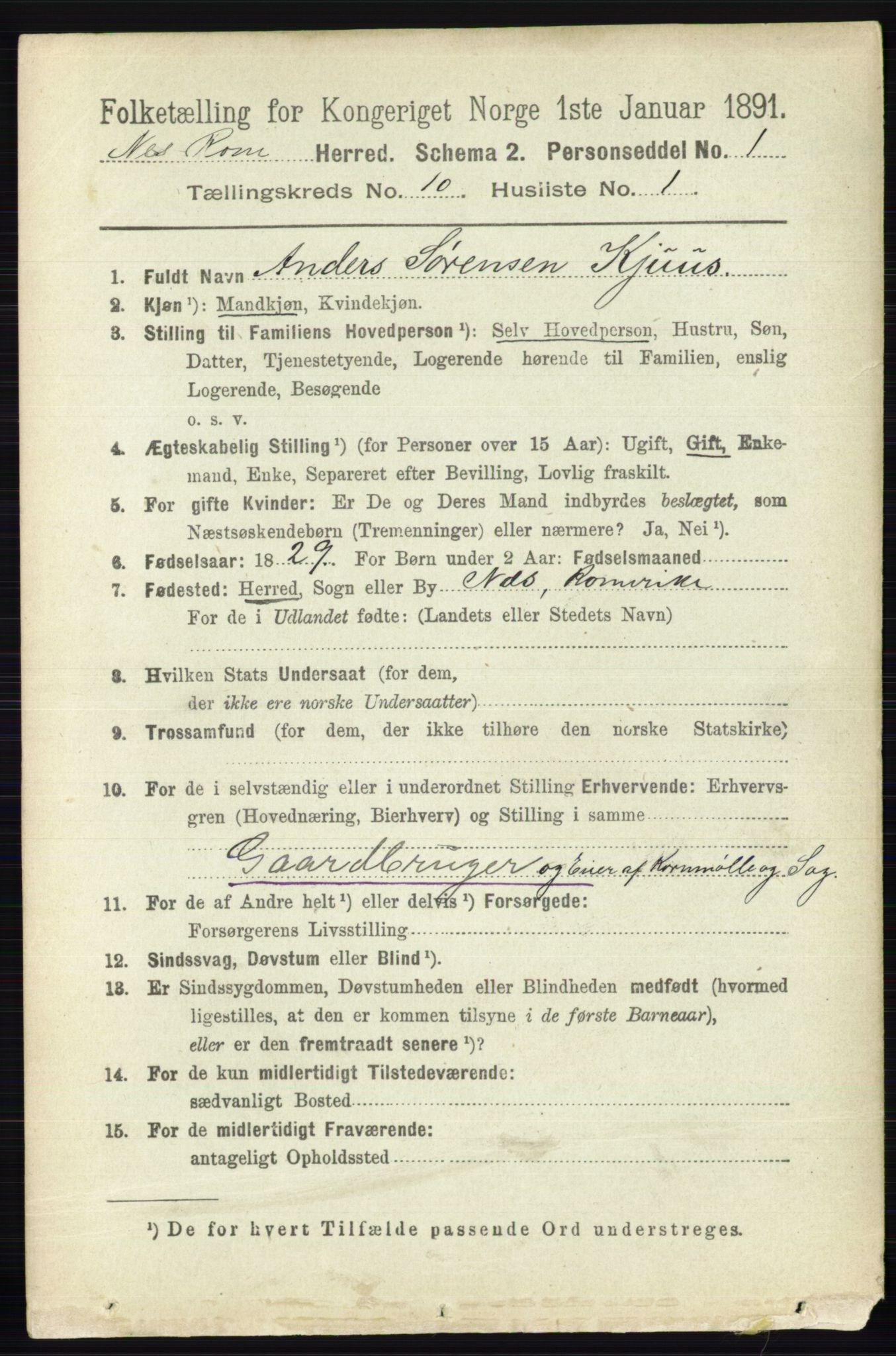 RA, 1891 census for 0236 Nes, 1891, p. 5790