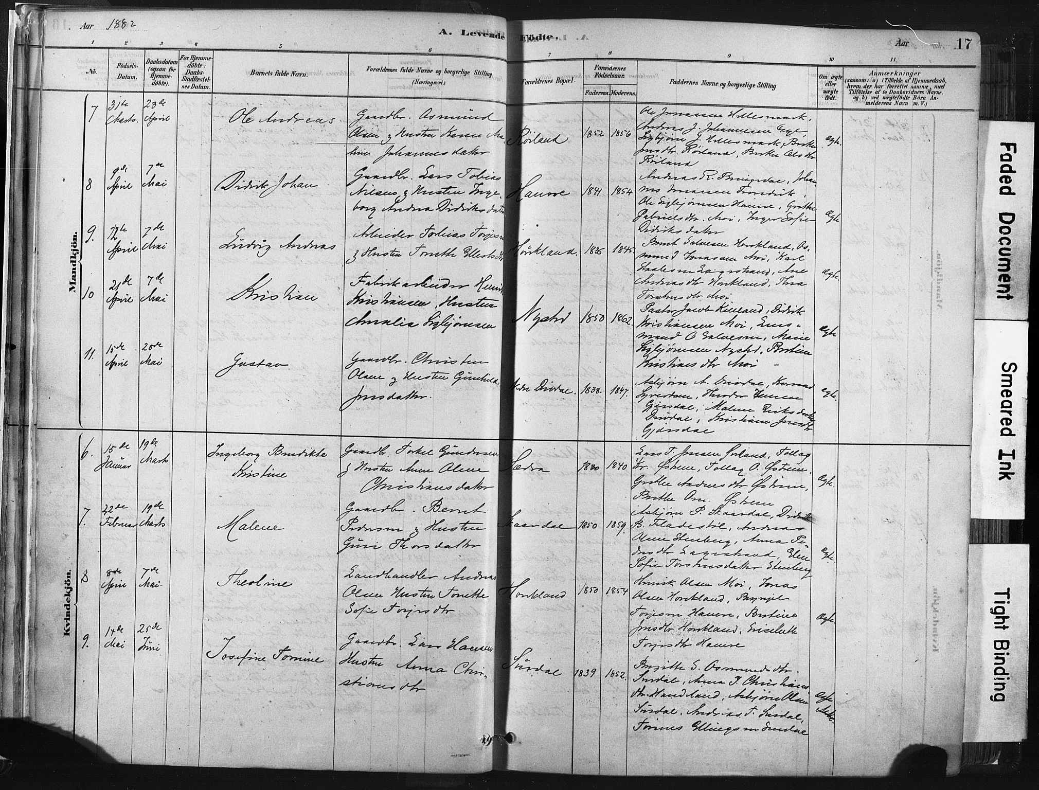 Lund sokneprestkontor, AV/SAST-A-101809/S06/L0011: Parish register (official) no. A 10, 1877-1904, p. 17