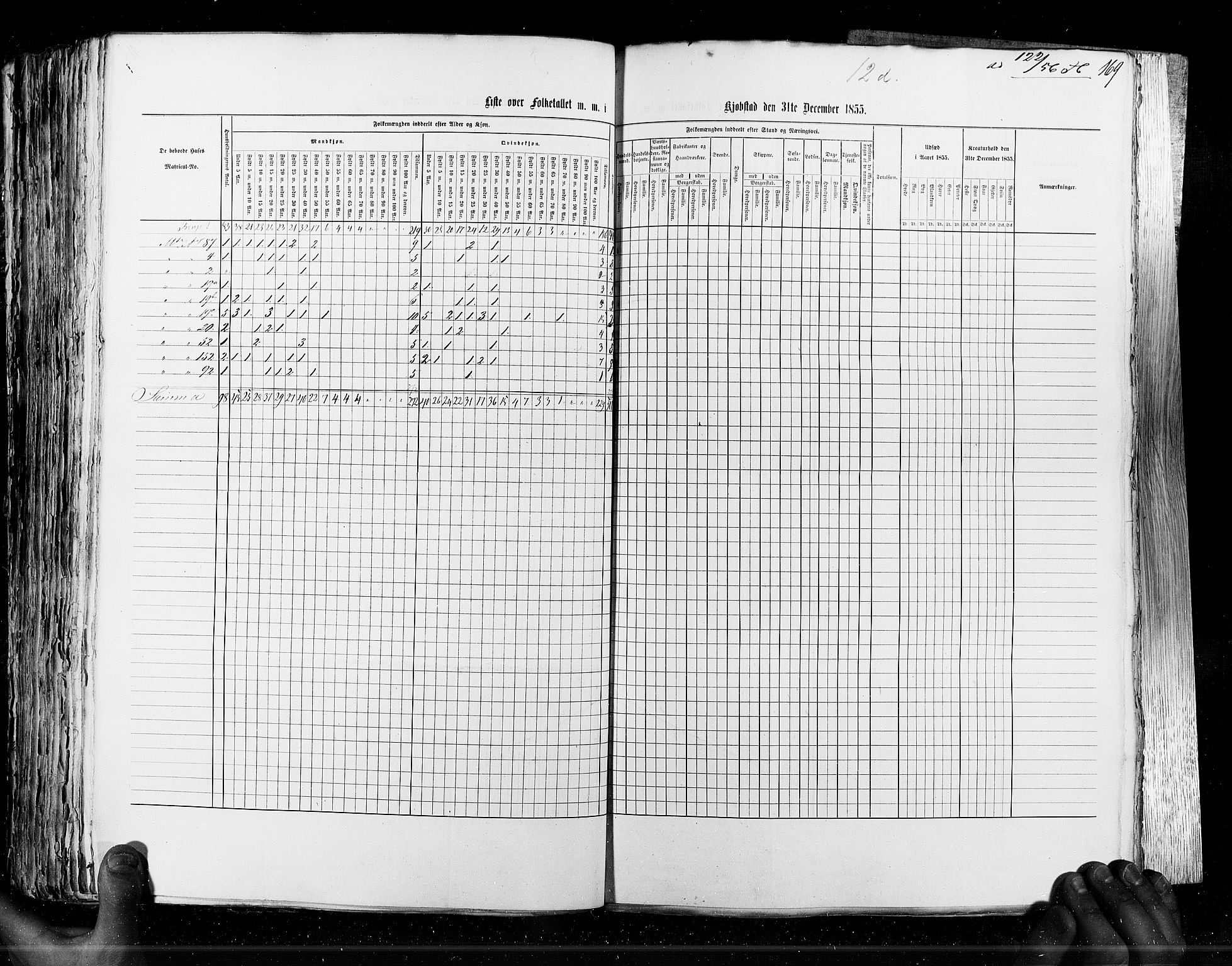 RA, Census 1855, vol. 7: Fredrikshald-Kragerø, 1855, p. 169