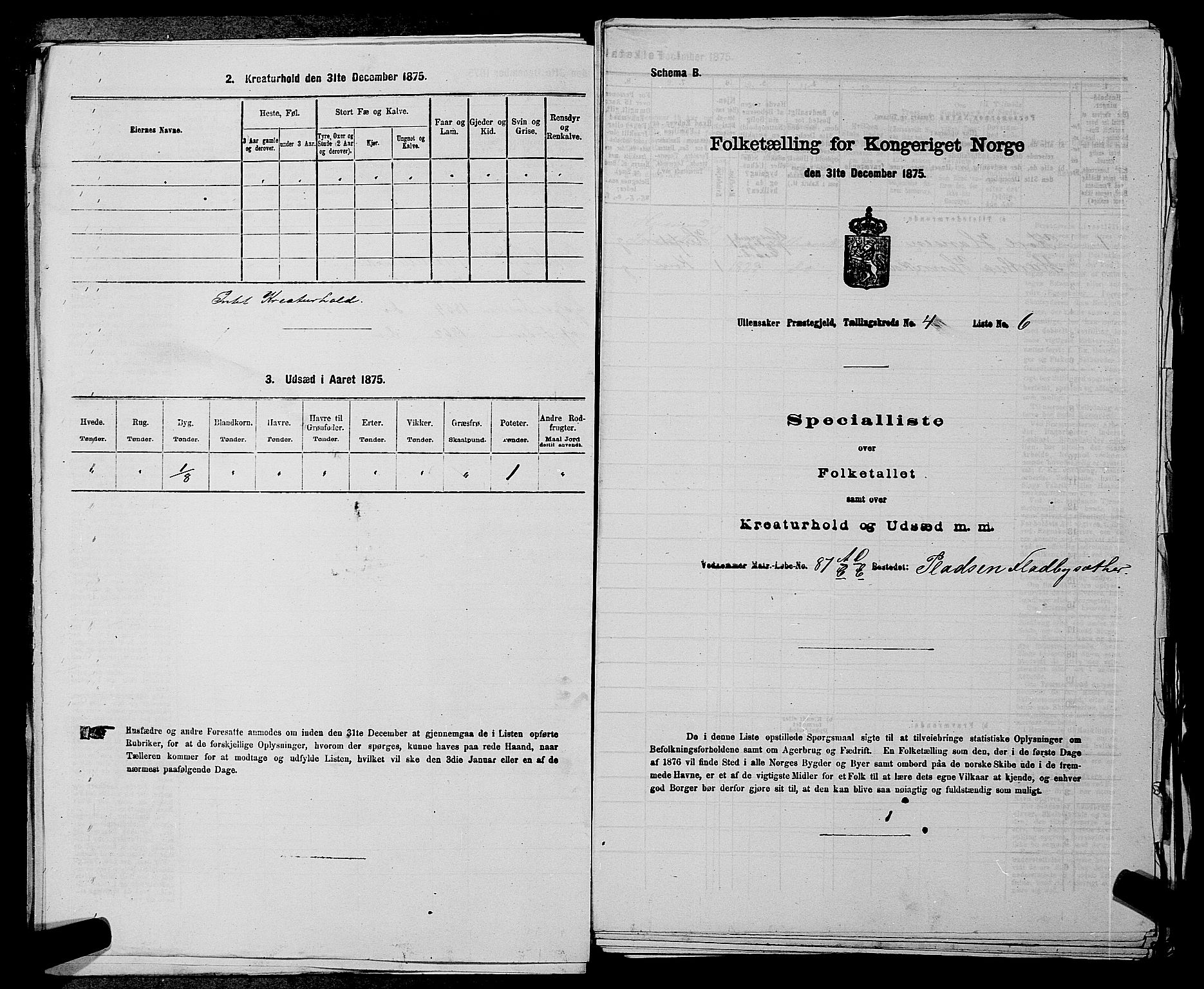 RA, 1875 census for 0235P Ullensaker, 1875, p. 495