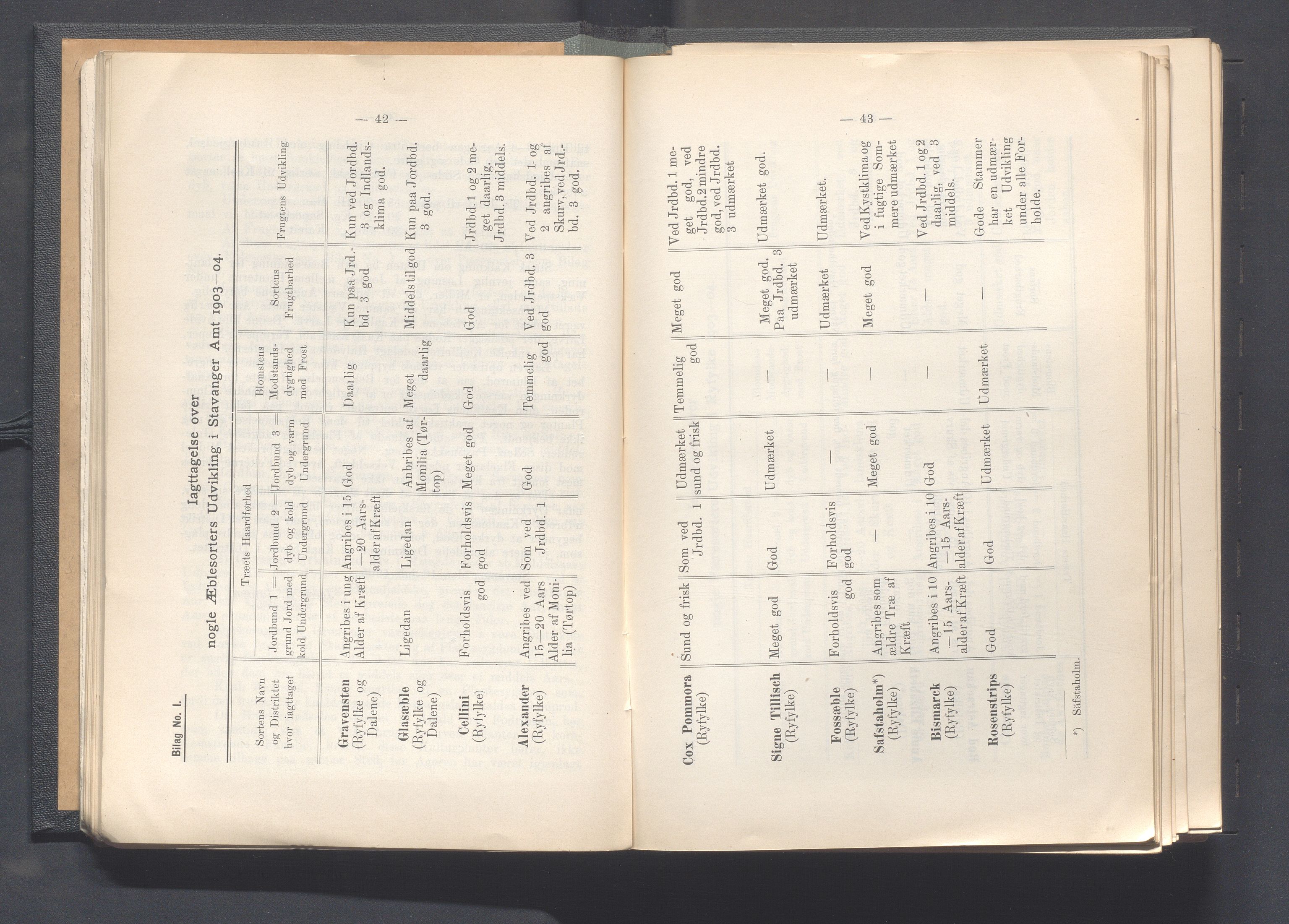 Rogaland fylkeskommune - Fylkesrådmannen , IKAR/A-900/A, 1906, p. 31