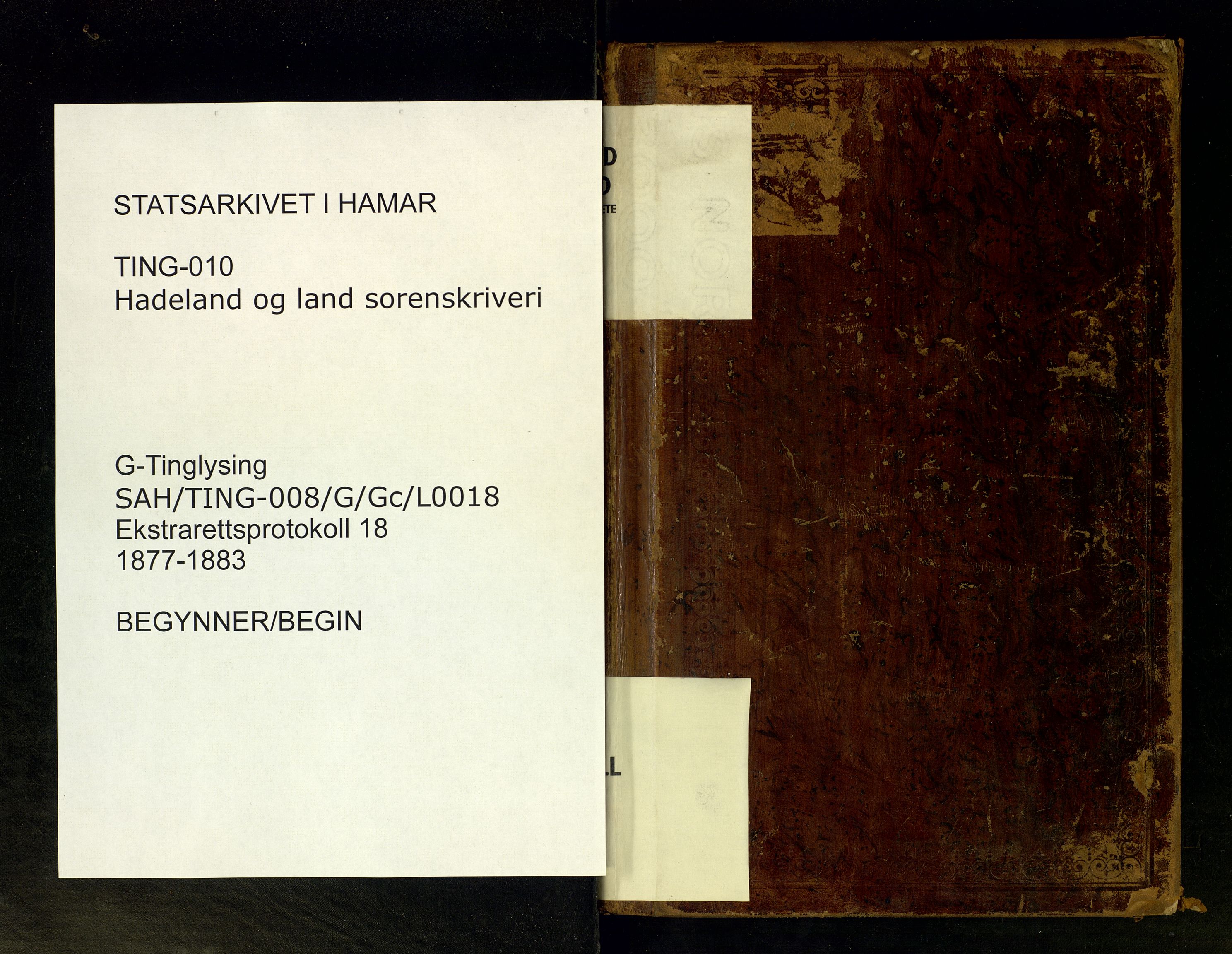 Hadeland og Land tingrett, SAH/TING-010/G/Gc/L0018: Ekstrarettsprotokoll, 1877-1883
