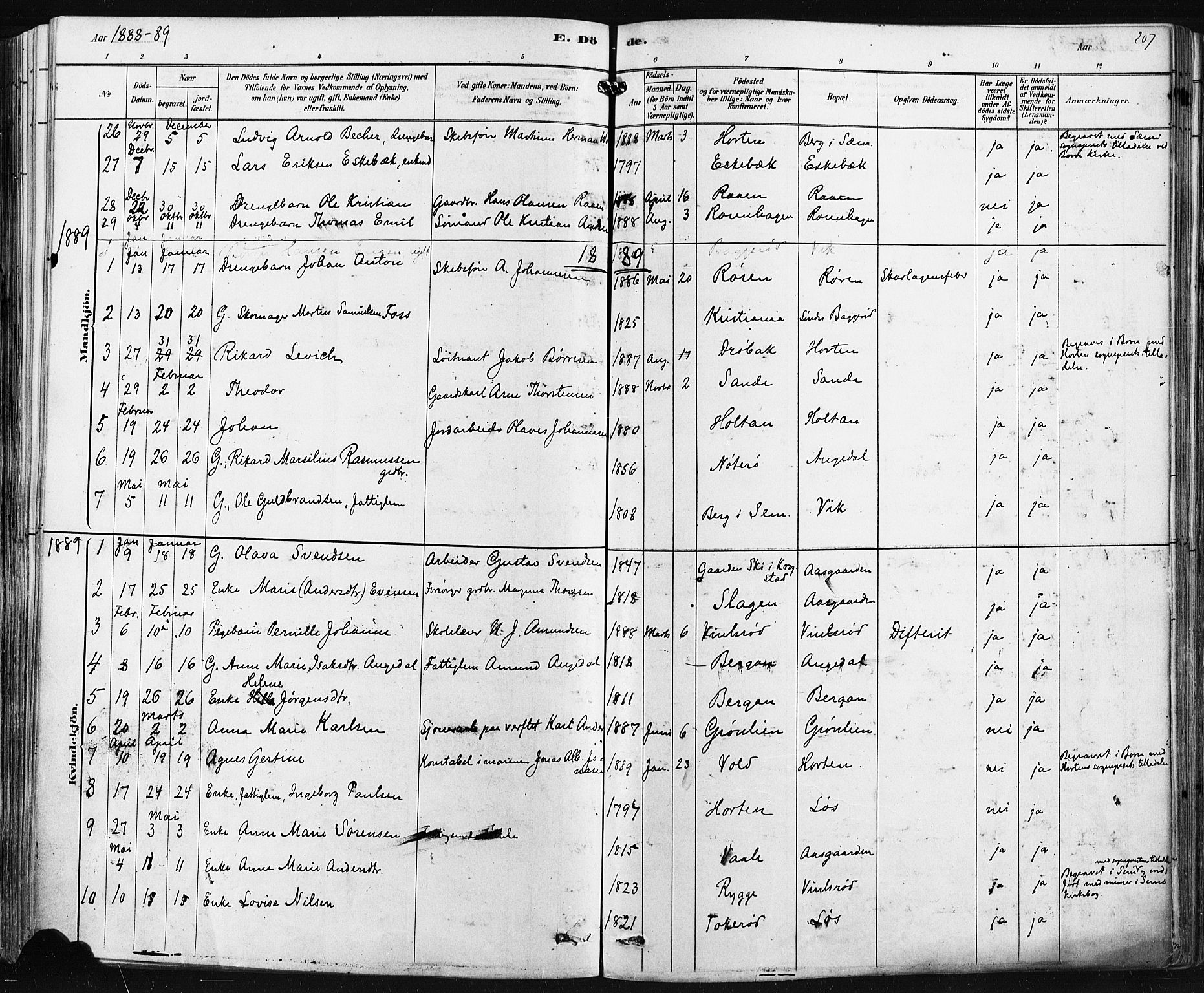 Borre kirkebøker, AV/SAKO-A-338/F/Fa/L0009: Parish register (official) no. I 9, 1878-1896, p. 207