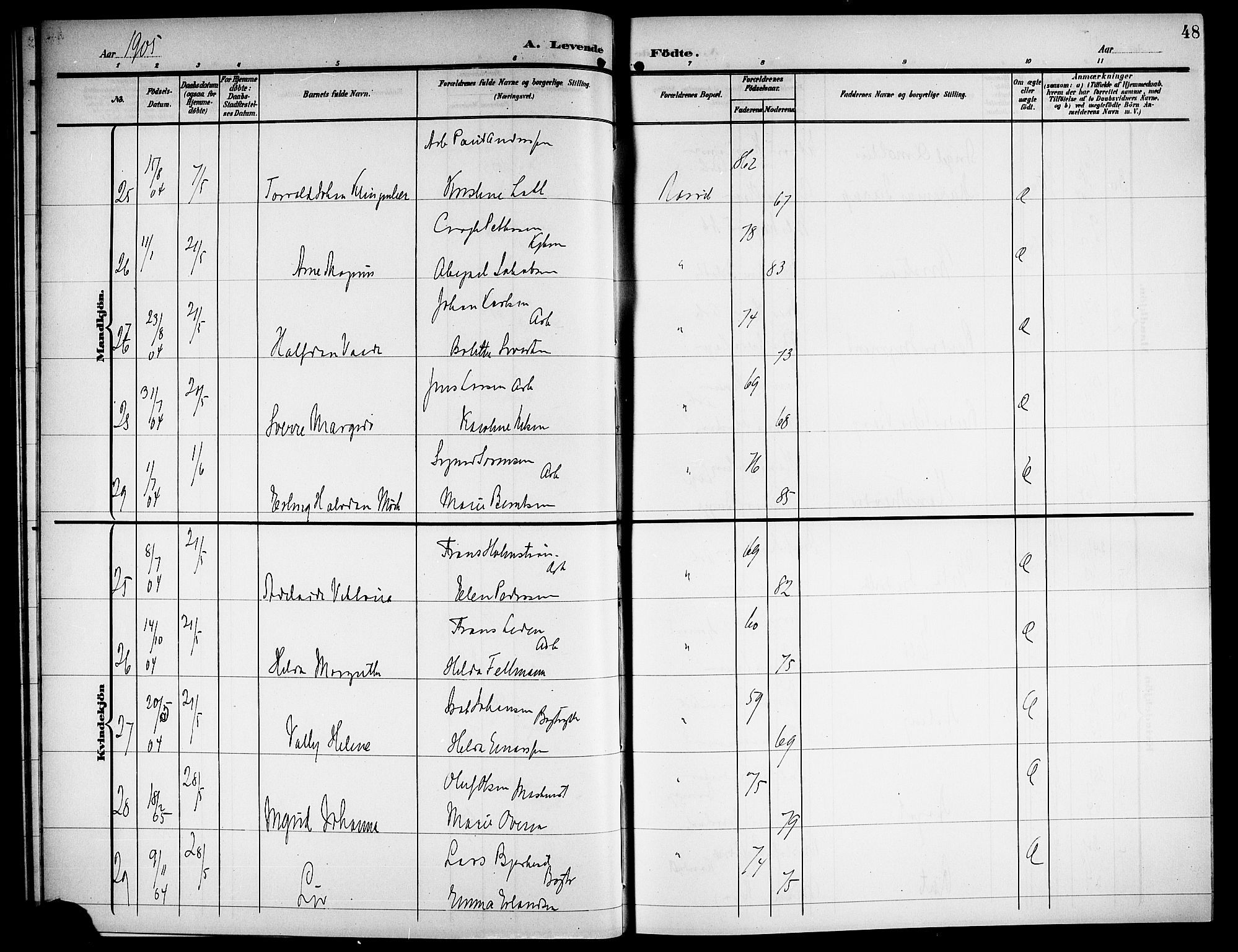 Ministerialprotokoller, klokkerbøker og fødselsregistre - Nordland, AV/SAT-A-1459/871/L1012: Parish register (copy) no. 871C01, 1902-1909, p. 48