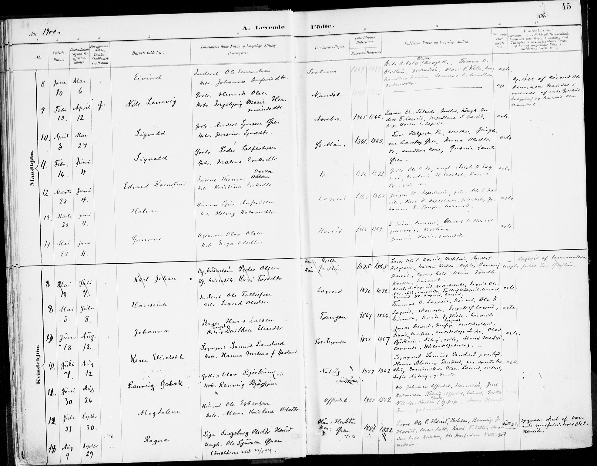 Årdal sokneprestembete, SAB/A-81701: Parish register (official) no. A 5, 1887-1917, p. 45