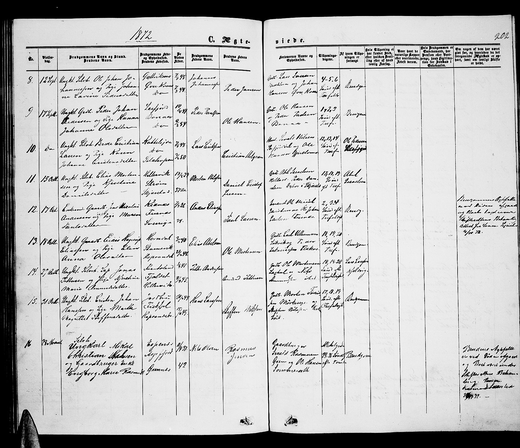 Ministerialprotokoller, klokkerbøker og fødselsregistre - Nordland, AV/SAT-A-1459/853/L0775: Parish register (copy) no. 853C03, 1859-1877, p. 202