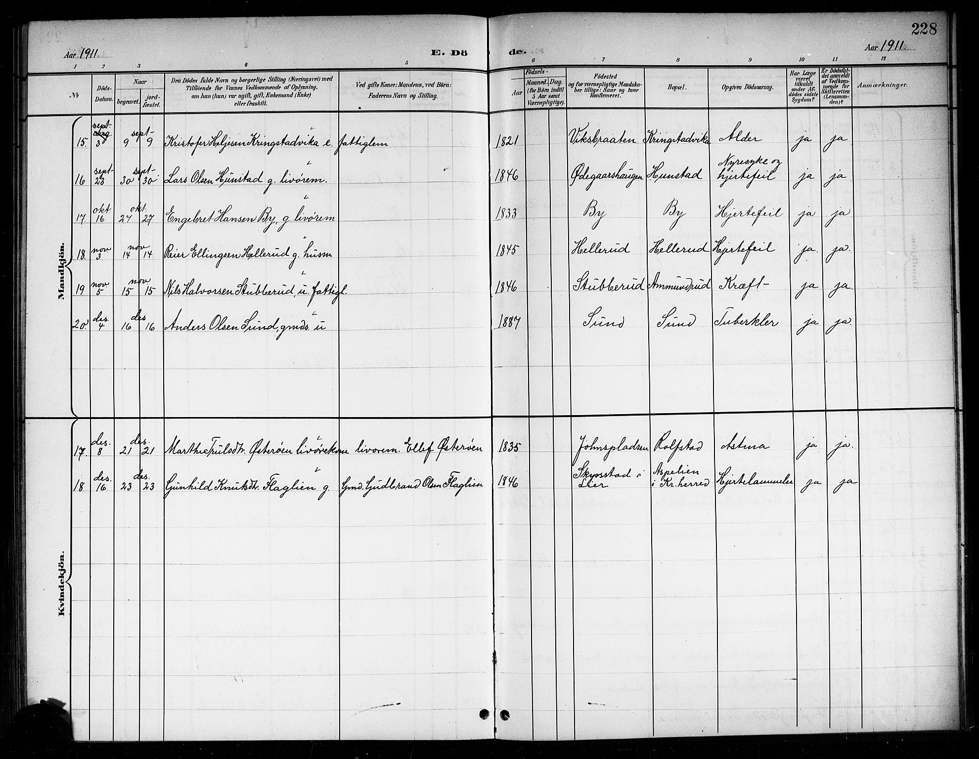 Sigdal kirkebøker, SAKO/A-245/G/Ga/L0006: Parish register (copy) no. I 6, 1901-1916, p. 228