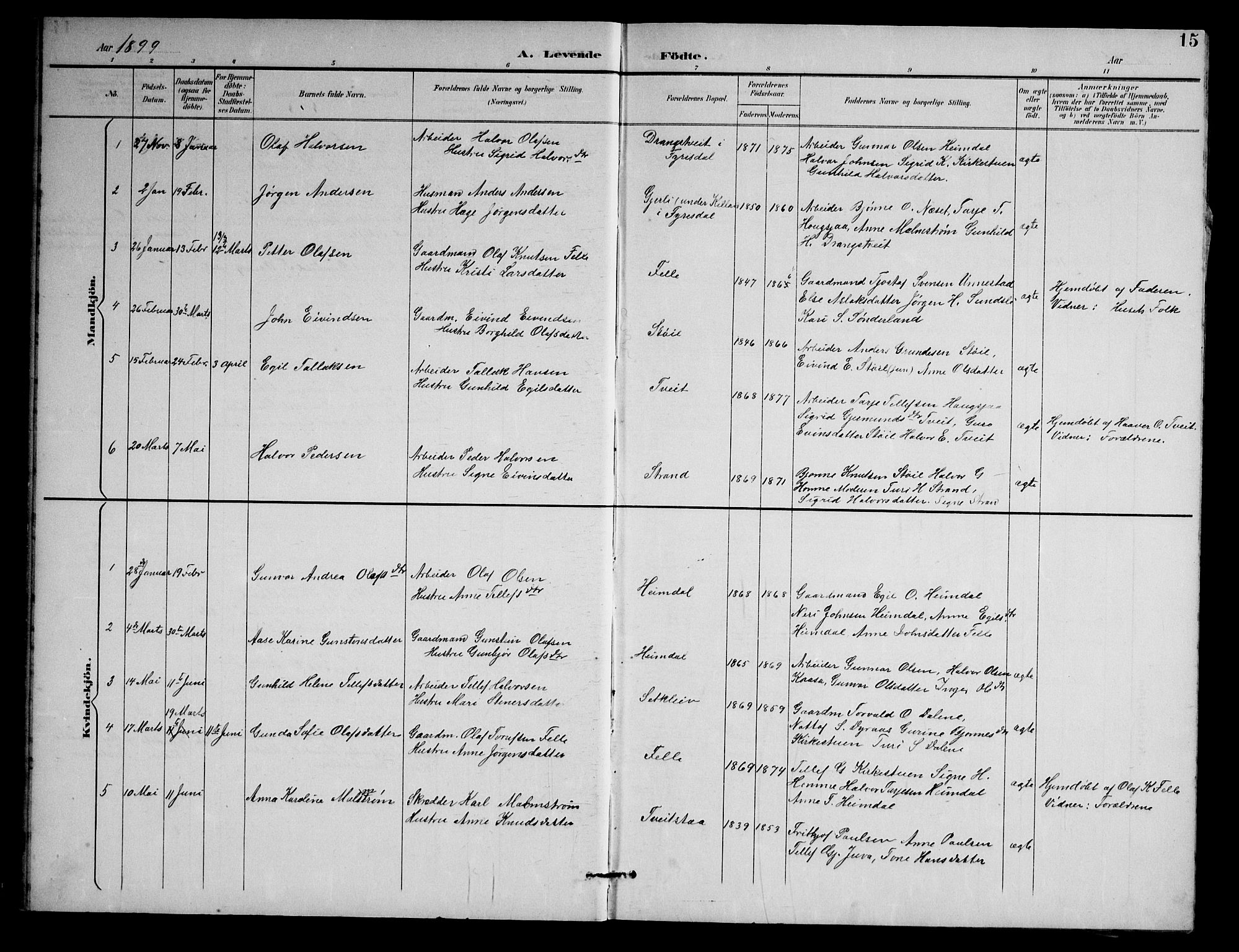 Nissedal kirkebøker, AV/SAKO-A-288/G/Gb/L0003: Parish register (copy) no. II 3, 1893-1928, p. 15