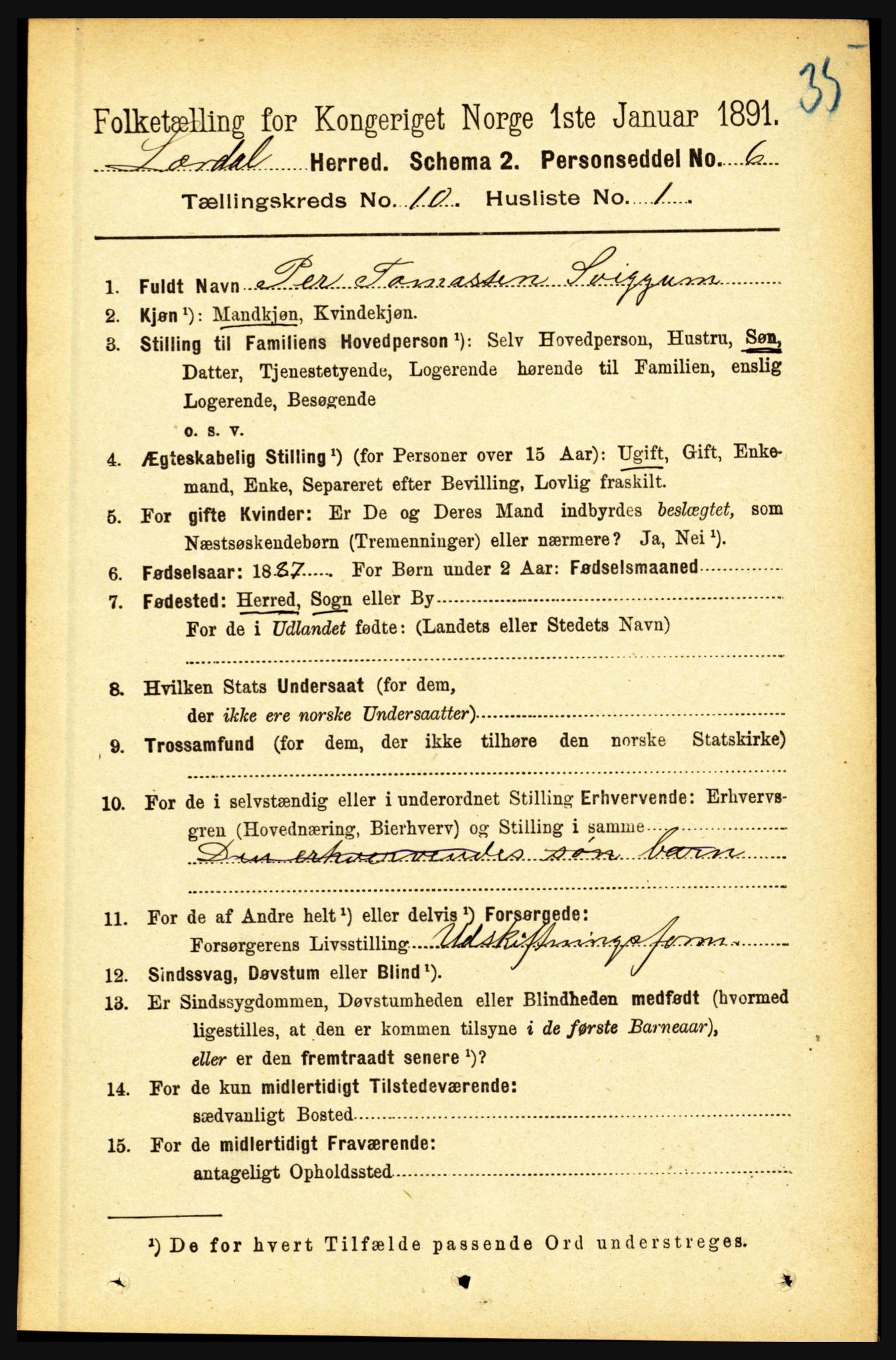 RA, 1891 census for 1422 Lærdal, 1891, p. 1702