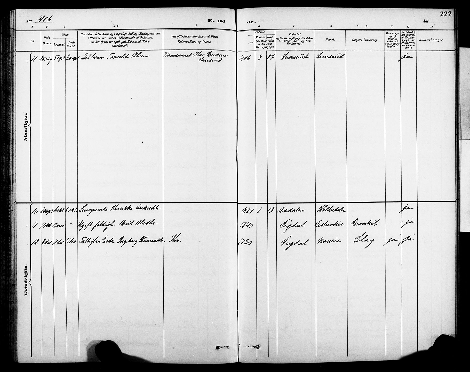 Krødsherad kirkebøker, SAKO/A-19/G/Ga/L0002: Parish register (copy) no. 2, 1894-1918, p. 222