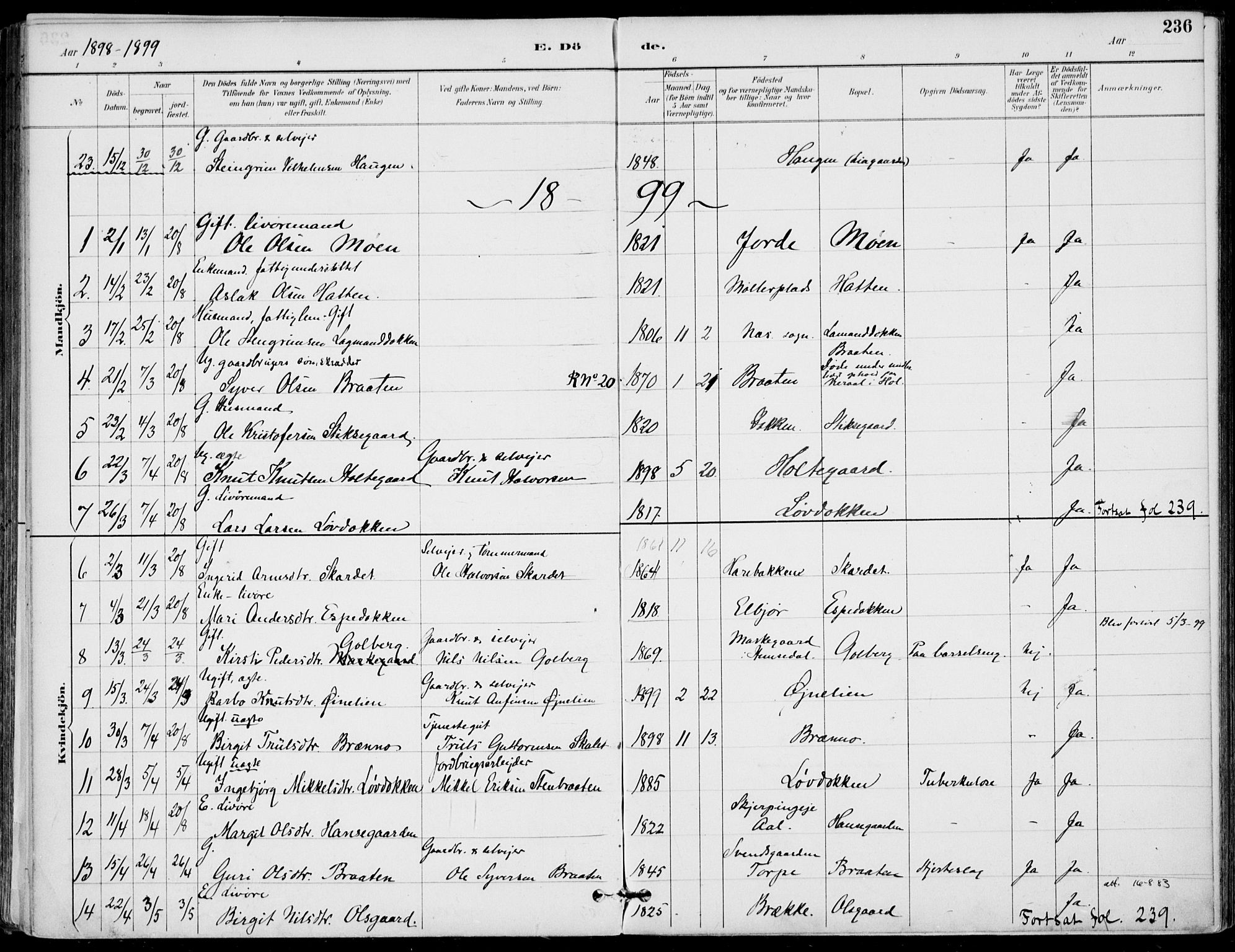 Gol kirkebøker, AV/SAKO-A-226/F/Fa/L0005: Parish register (official) no. I 5, 1887-1900, p. 236