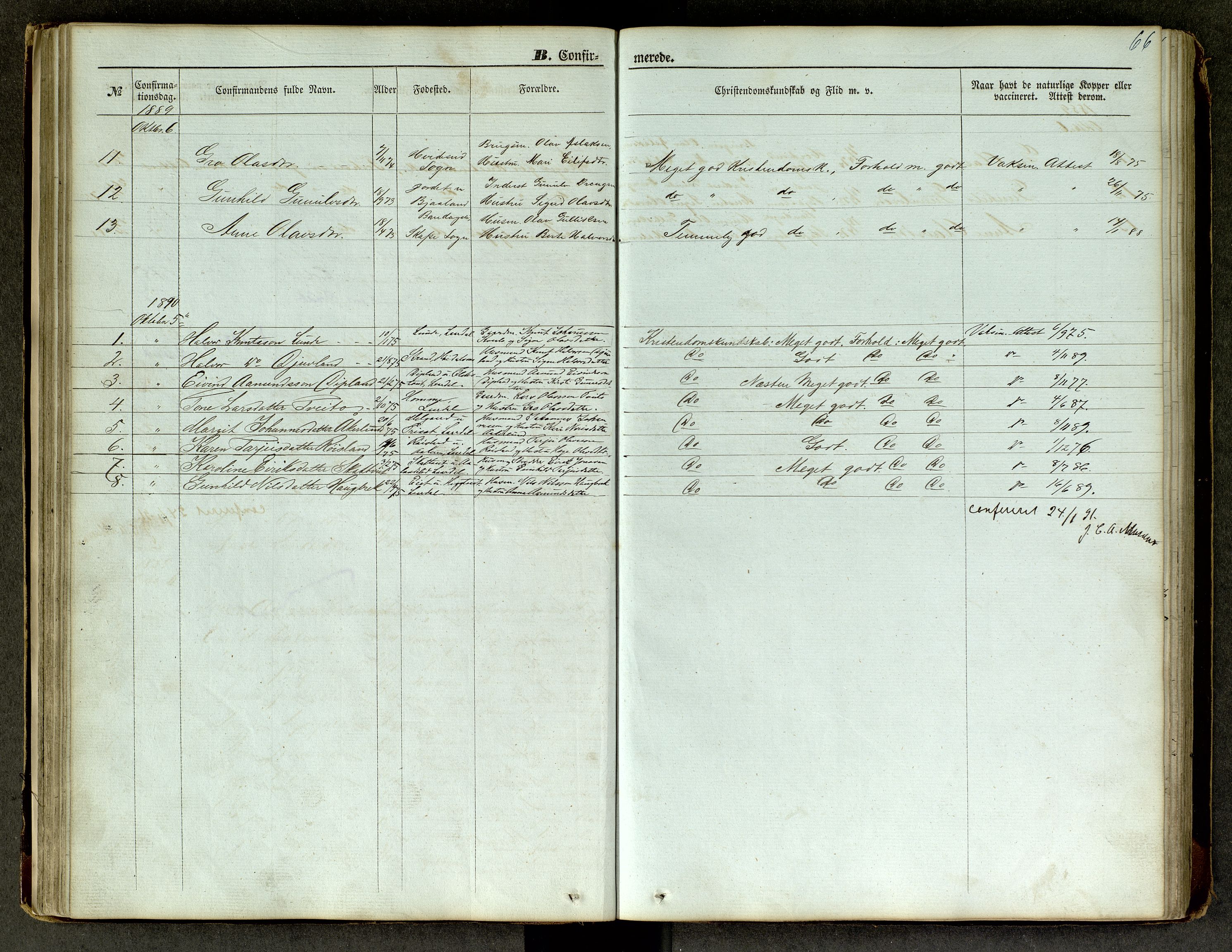 Lårdal kirkebøker, SAKO/A-284/G/Ga/L0002: Parish register (copy) no. I 2, 1861-1890, p. 66