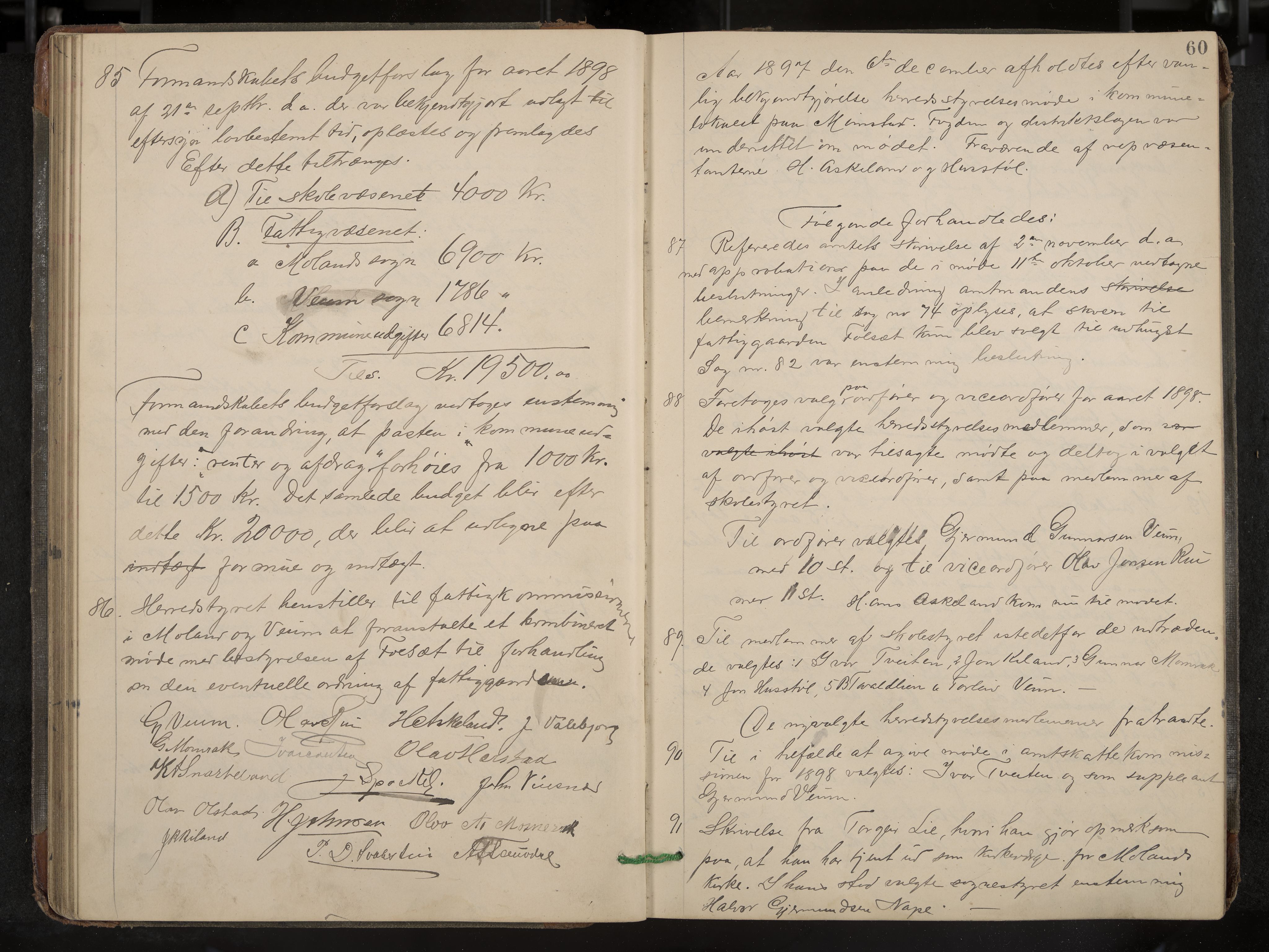 Fyresdal formannskap og sentraladministrasjon, IKAK/0831021-1/Aa/L0003: Møtebok, 1894-1903, p. 60