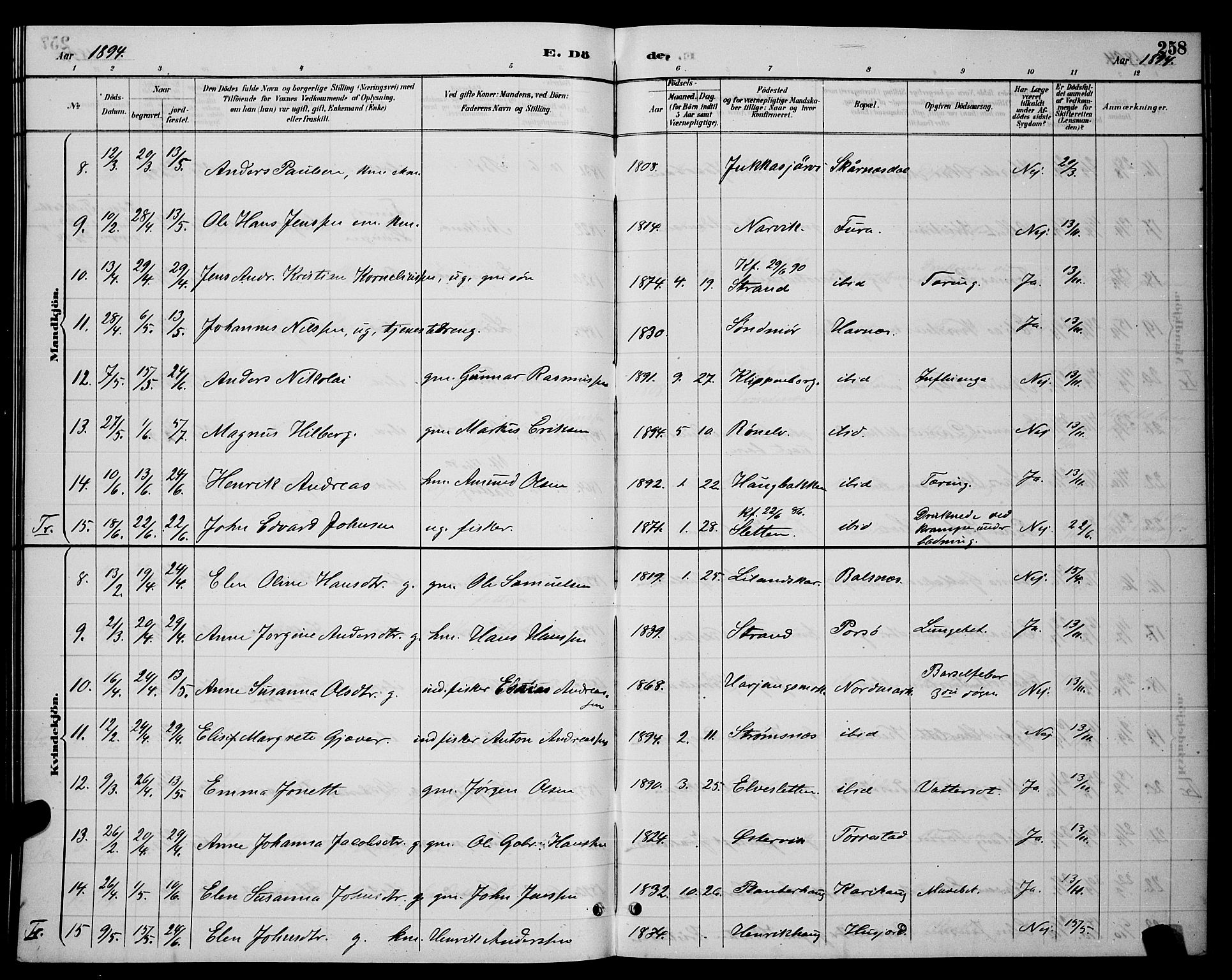 Ministerialprotokoller, klokkerbøker og fødselsregistre - Nordland, AV/SAT-A-1459/863/L0914: Parish register (copy) no. 863C04, 1886-1897, p. 258